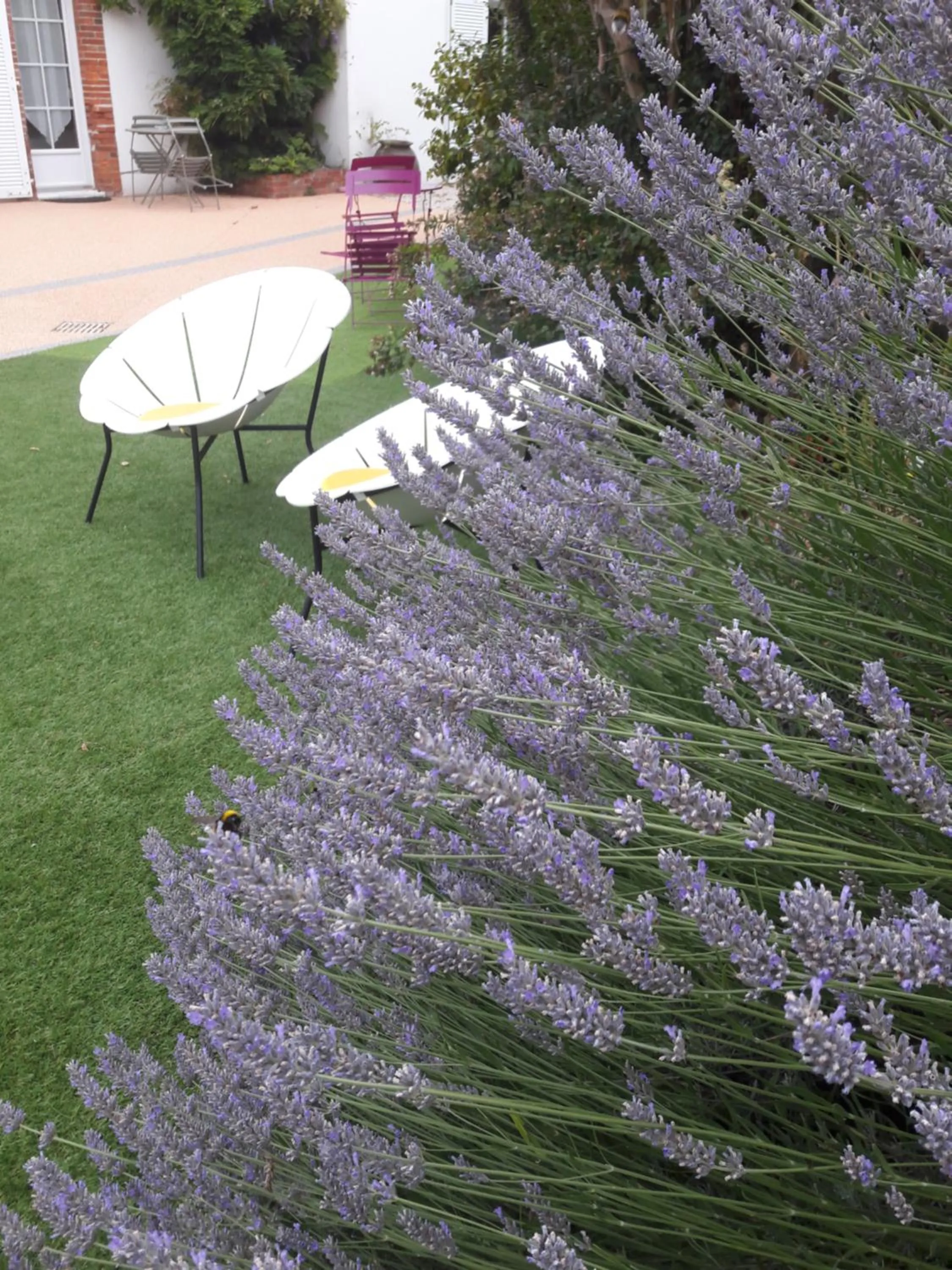 Garden in Le Manoir de l'antiquité