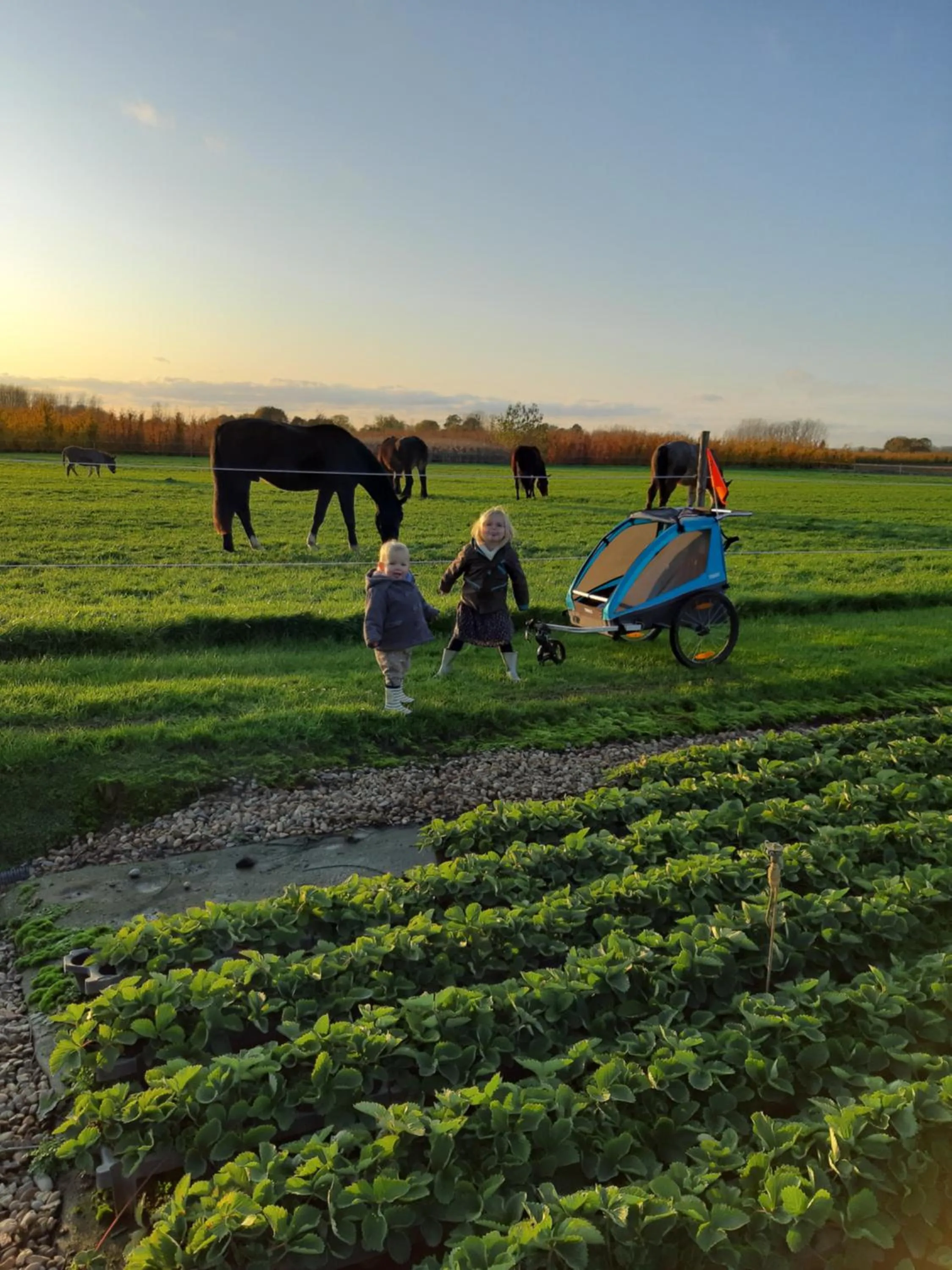 Natural landscape in De Bonderbei