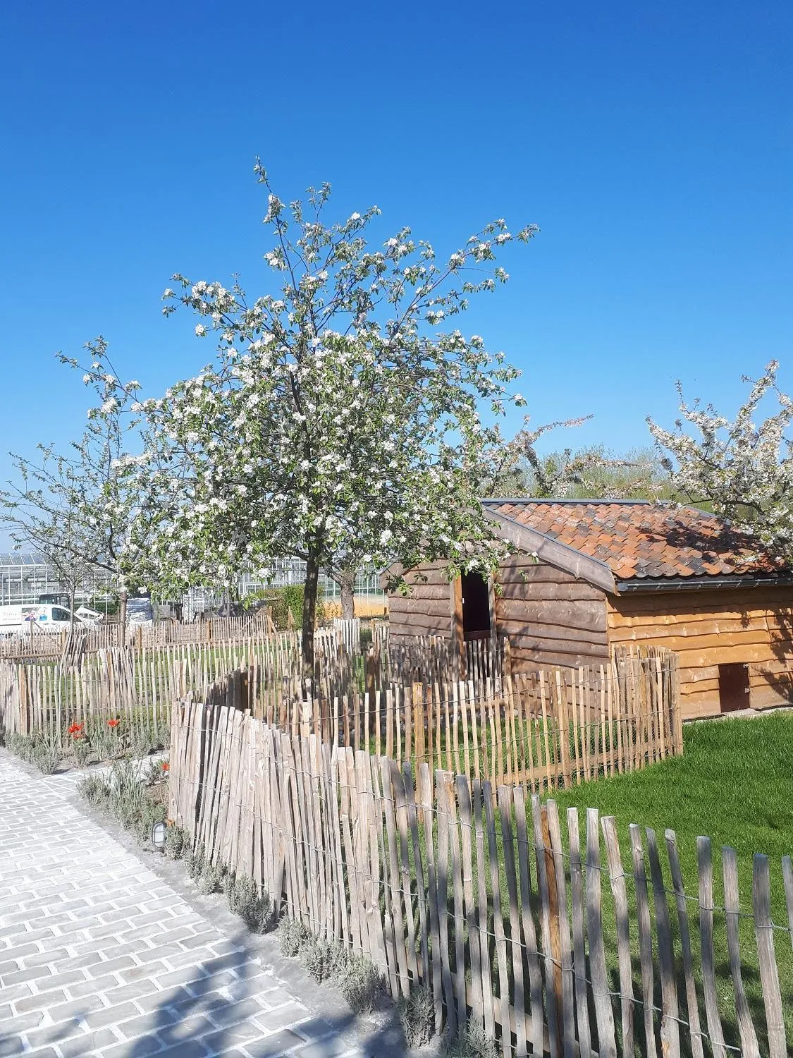 Garden in De Bonderbei