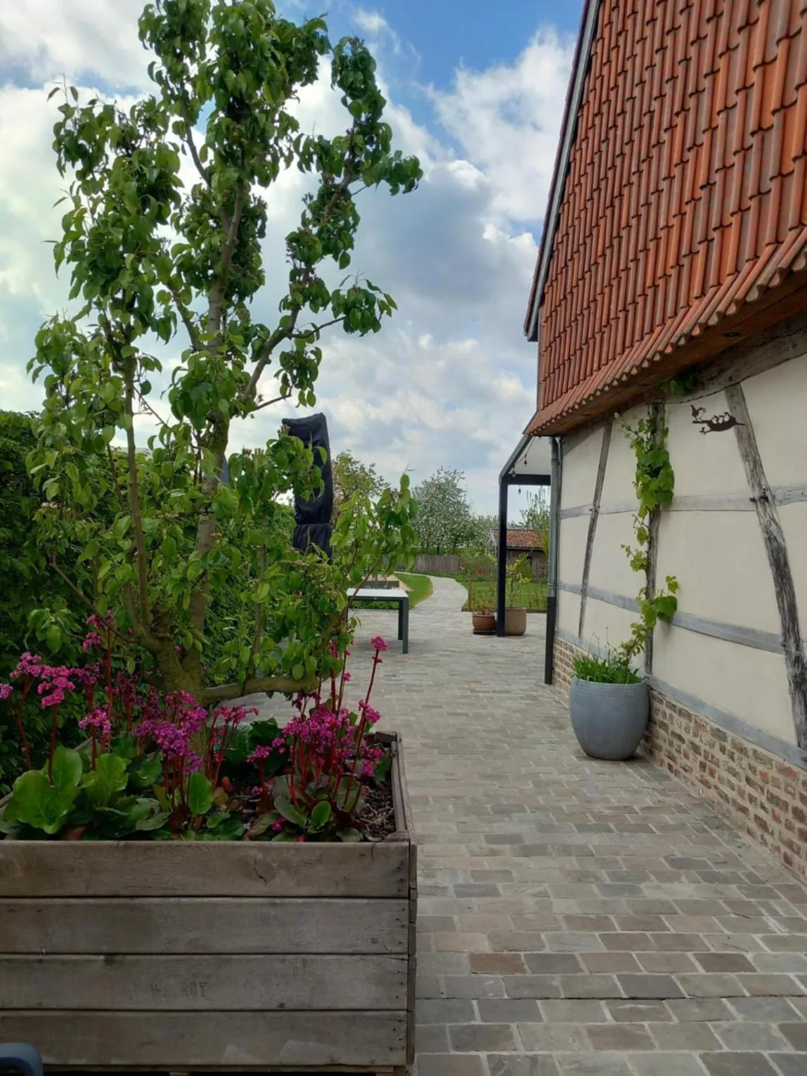 Garden in De Bonderbei