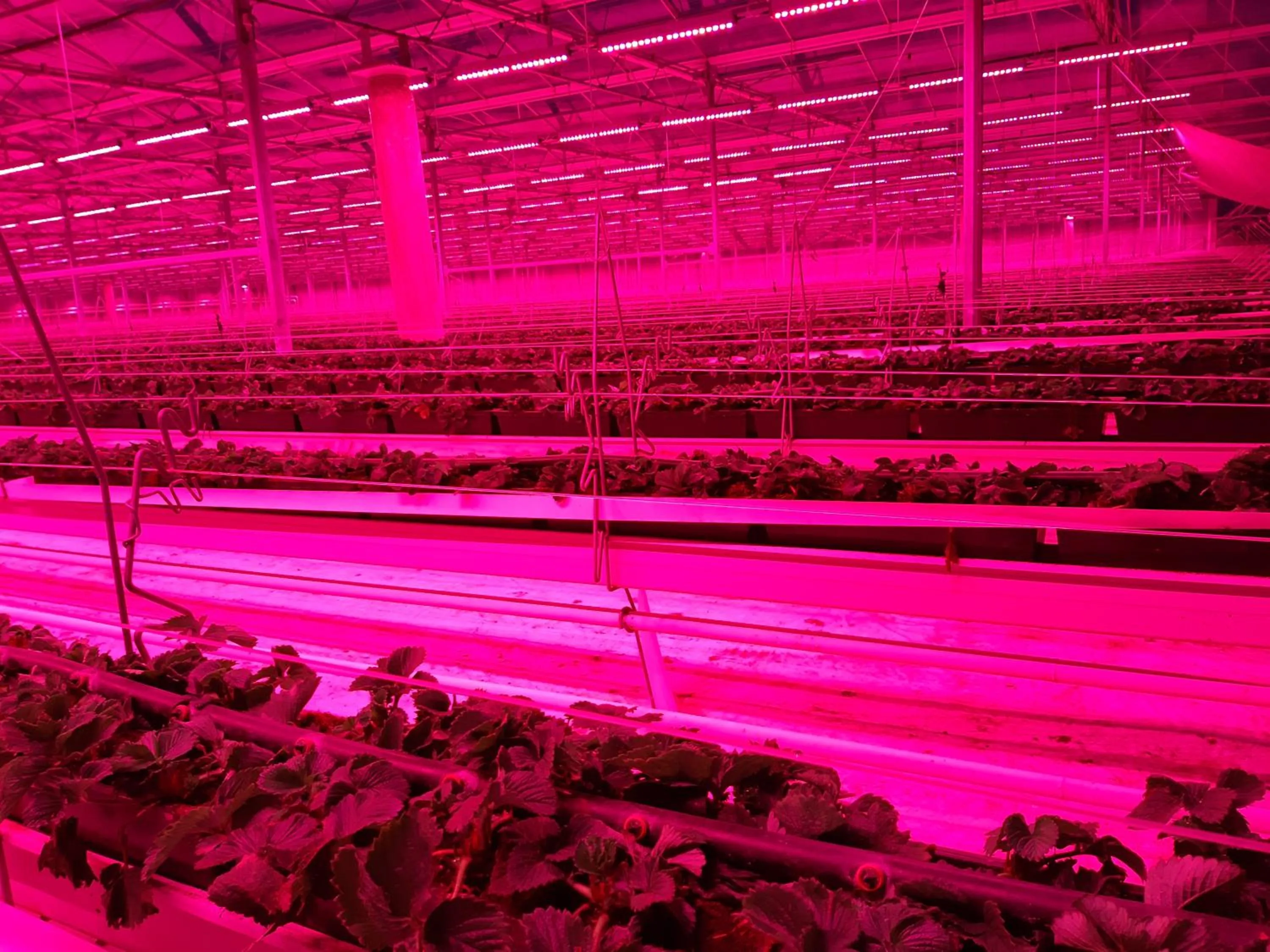 Nearby landmark in De Bonderbei