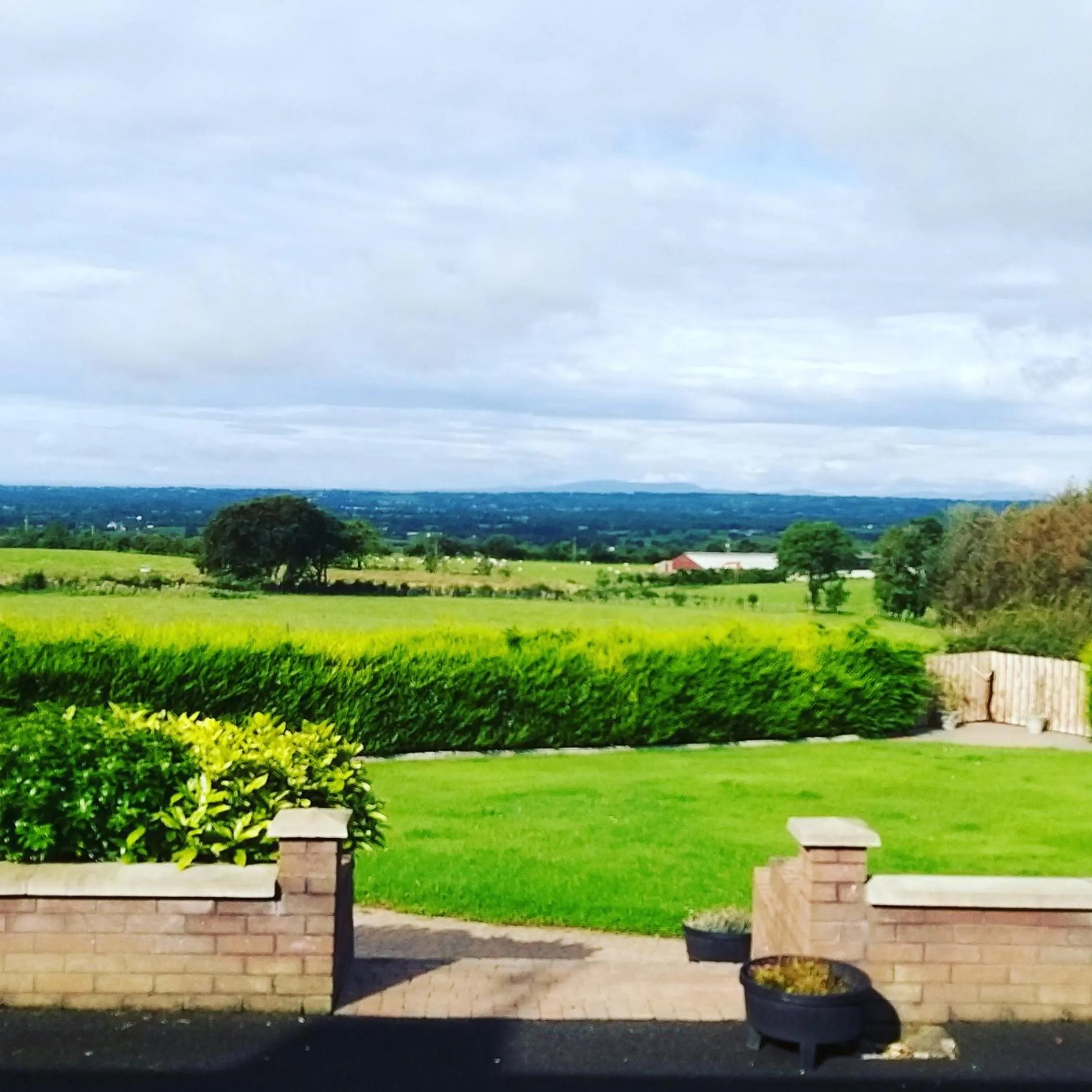 Garden in Antrim Heights Estate
