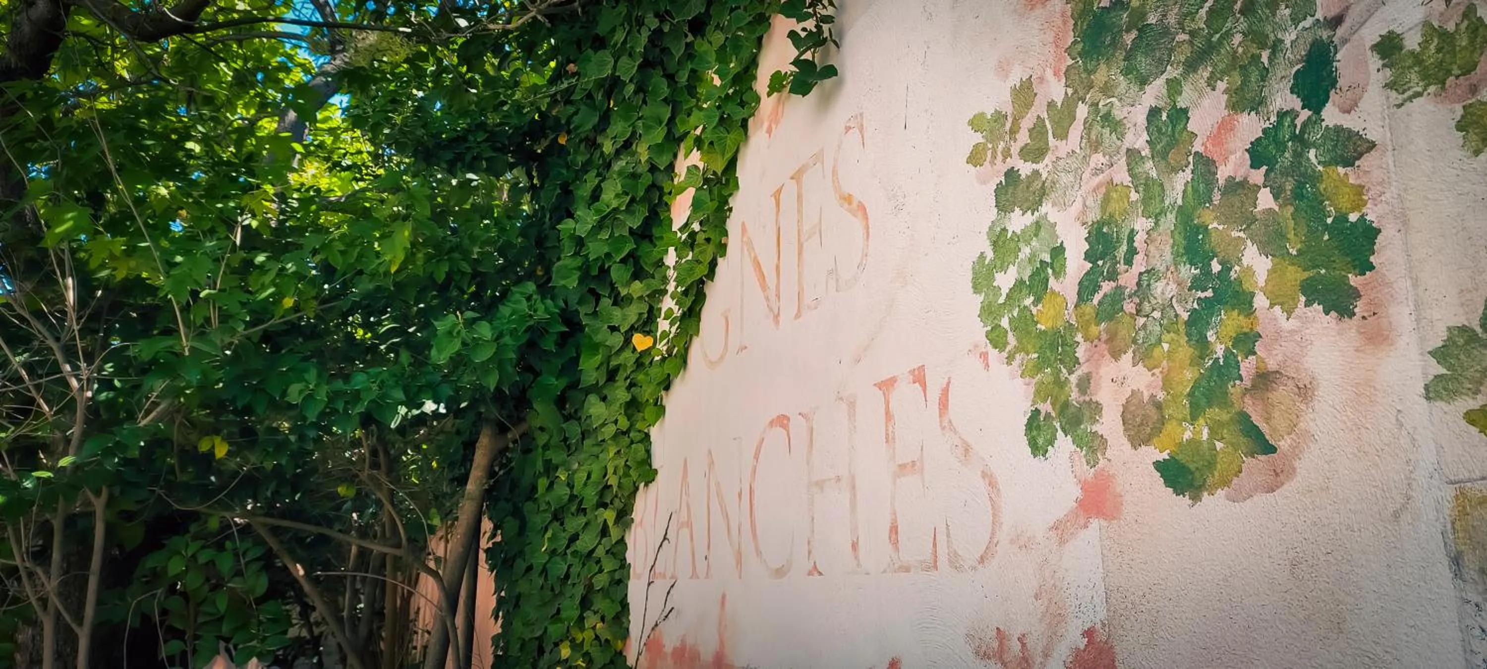 Logis VIGNES BLANCHES*** Hôtel Cosy et restaurant de terroir