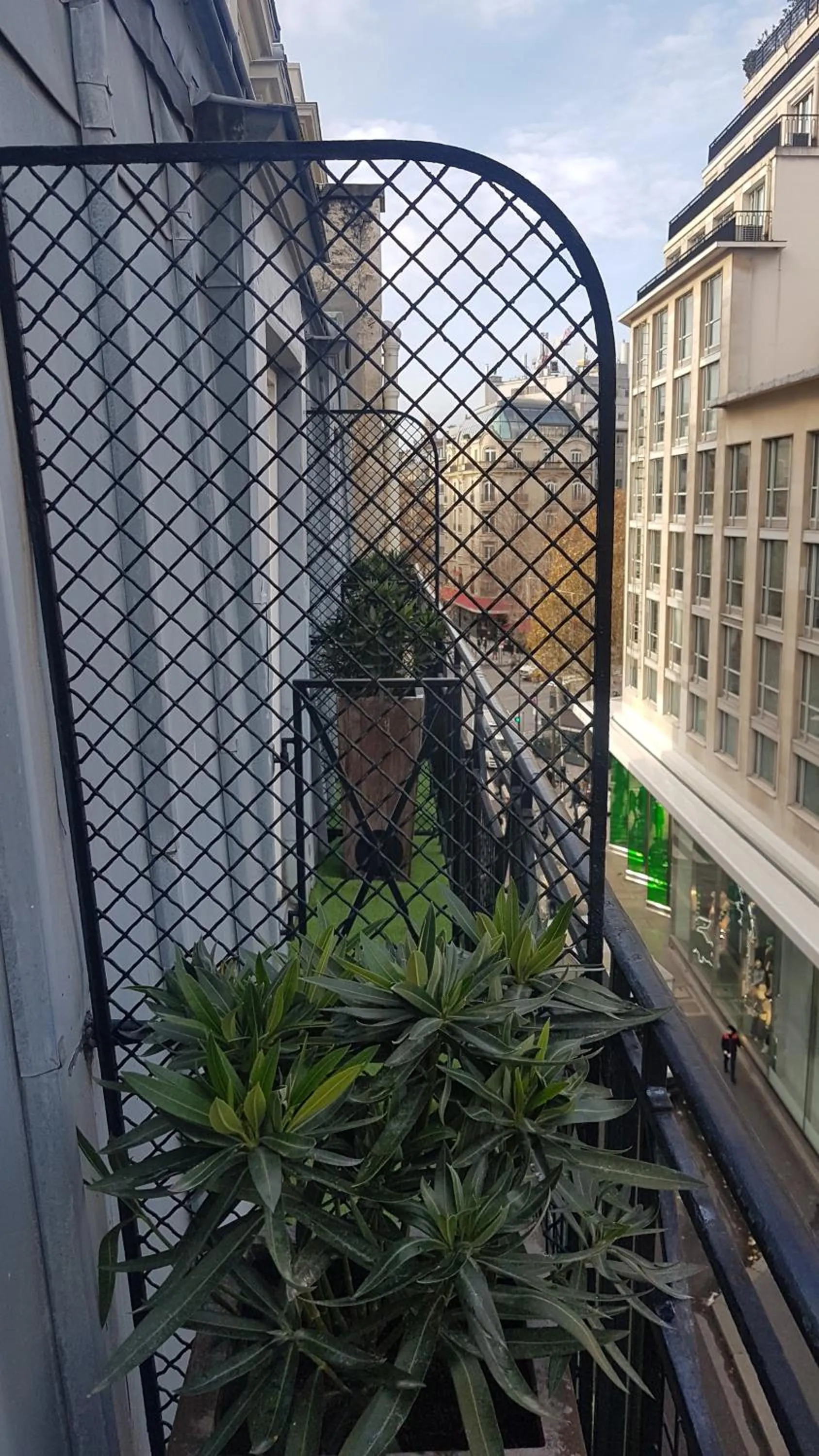 Balcony/Terrace in Hôtel Le Colisée