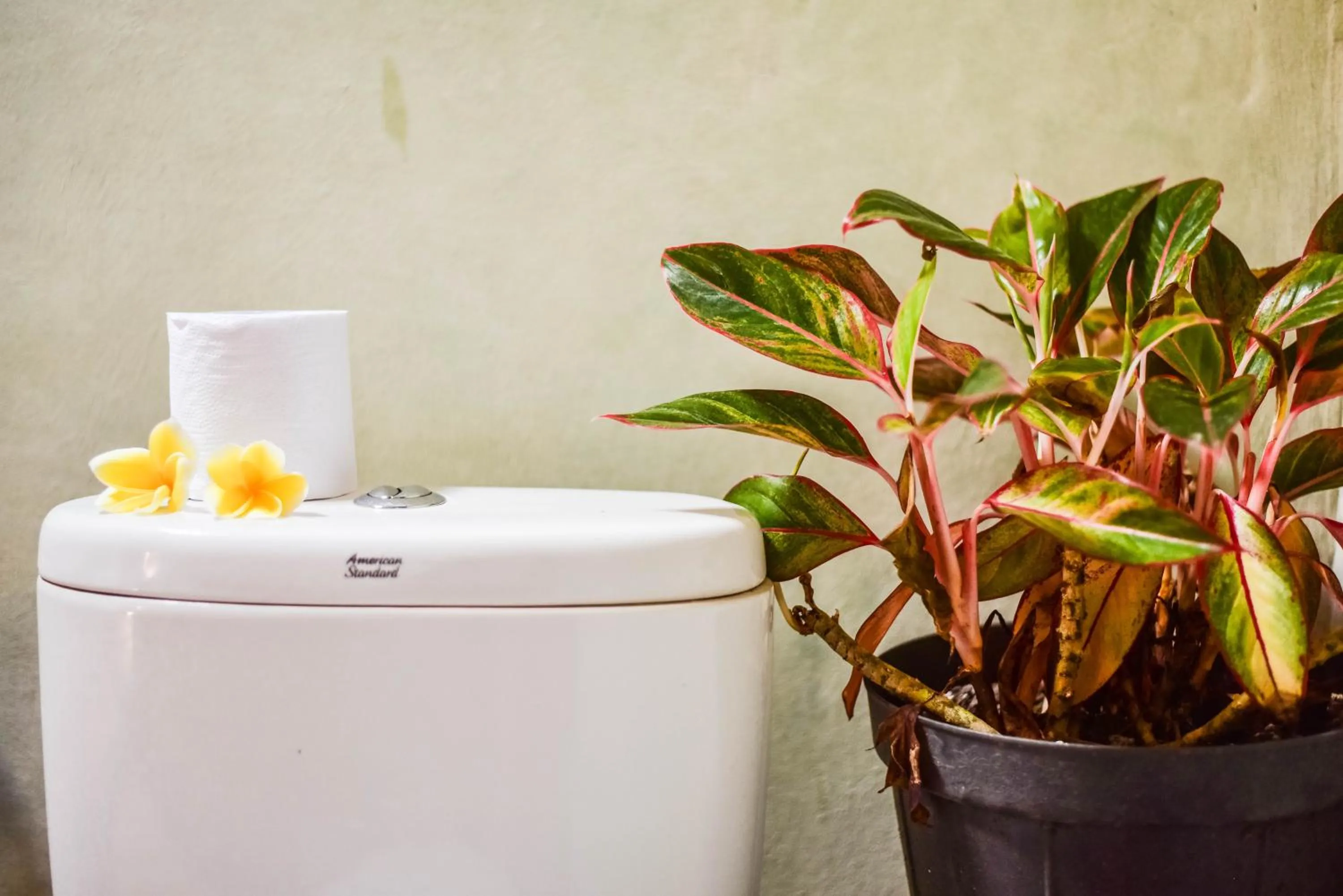 Bathroom in Arana Garden Ubud