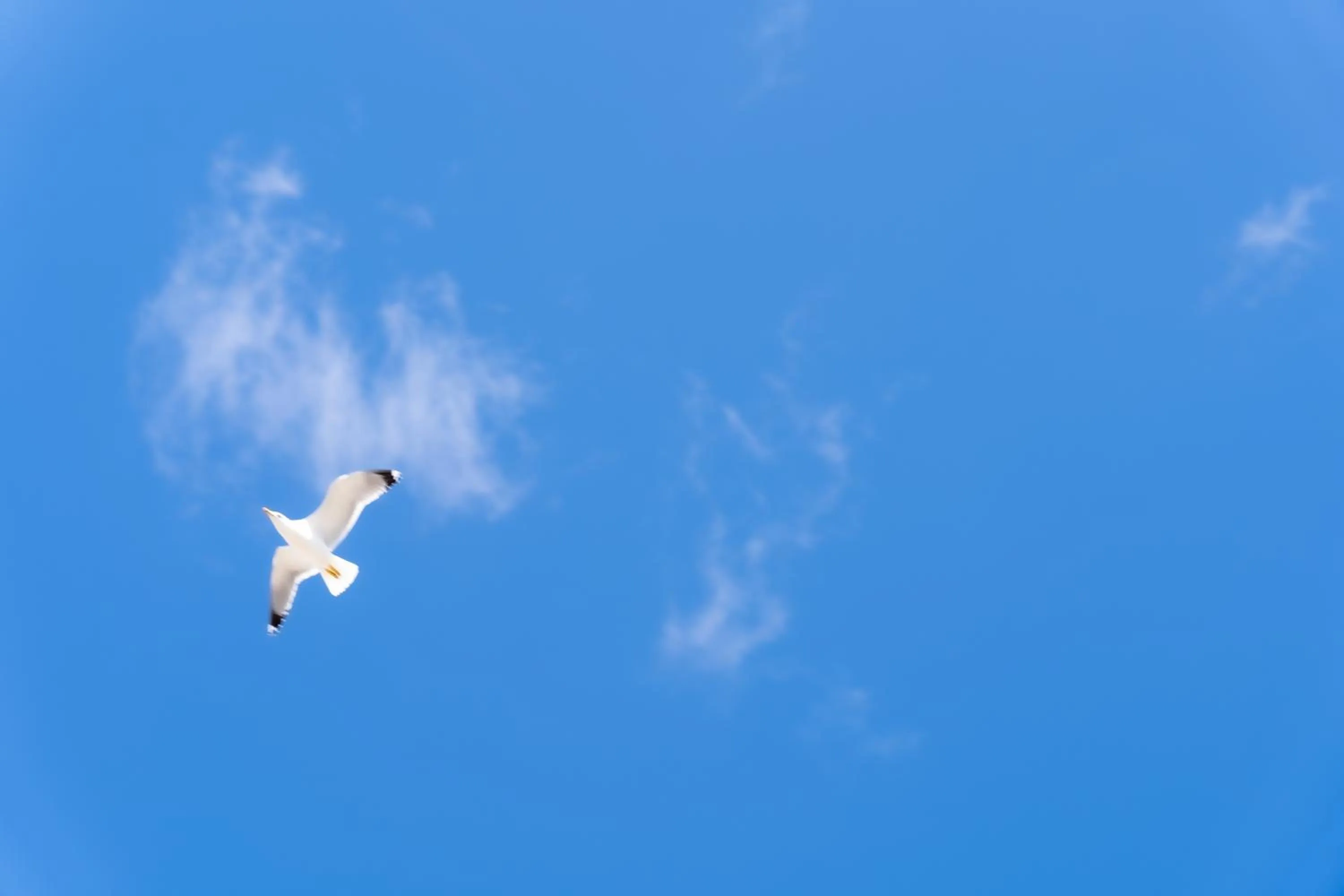 Natural landscape in Hôtel Mar I Cel & Spa