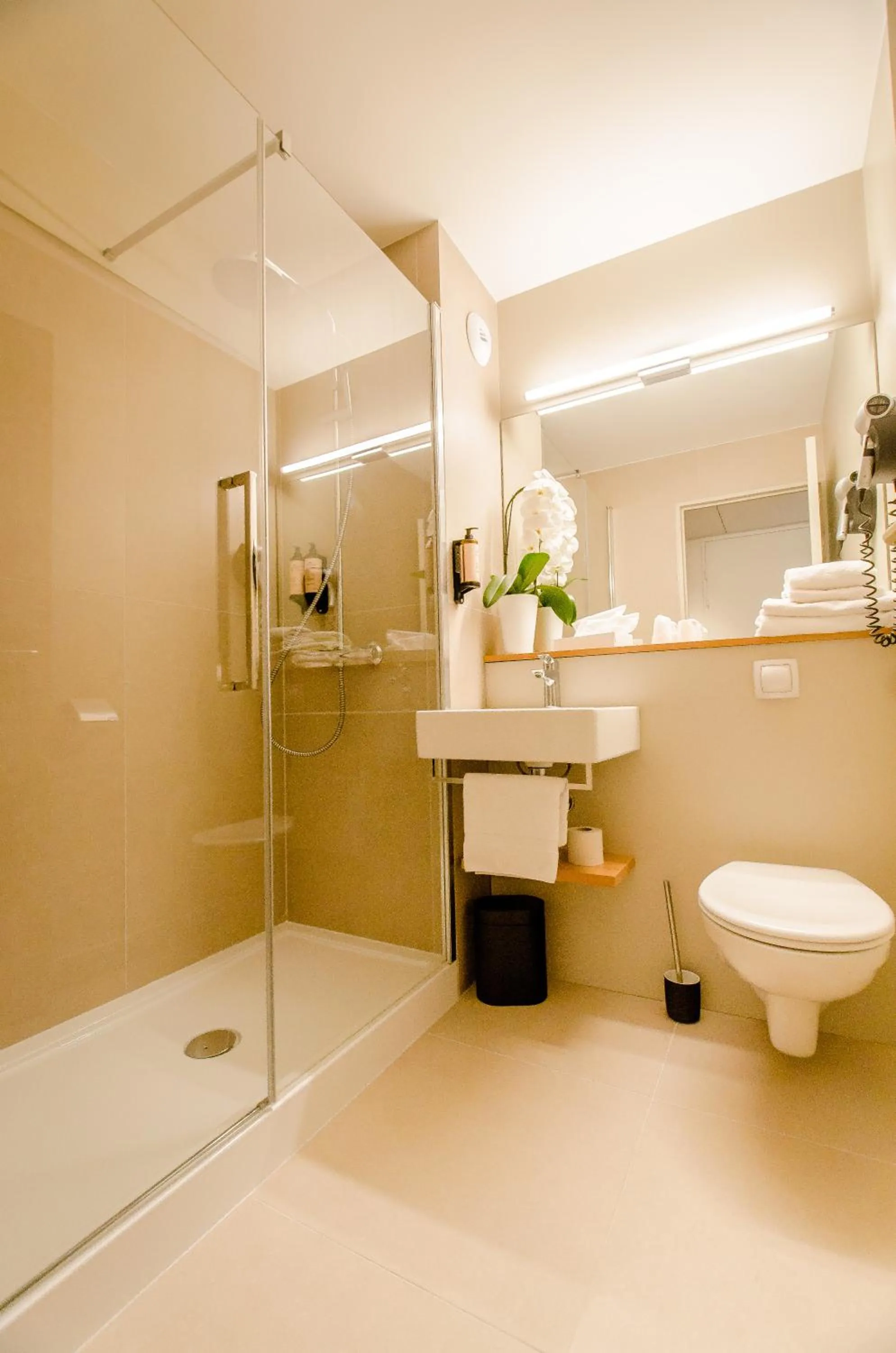 Shower in Golden Tulip Villepinte Roissy - Parc des Expositions