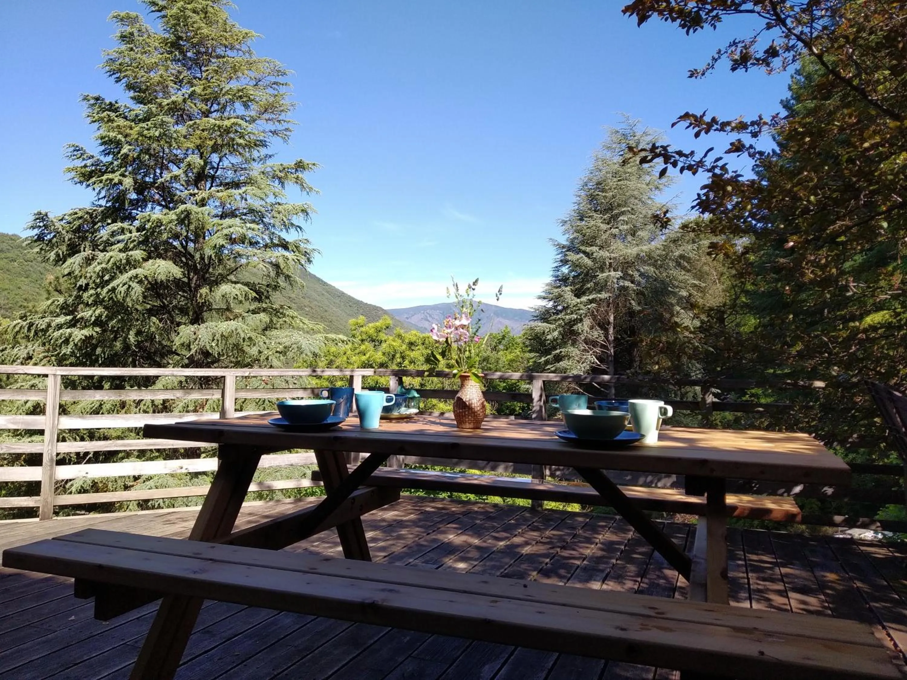 Internal: Not applicable to any particular room in Pura Vida