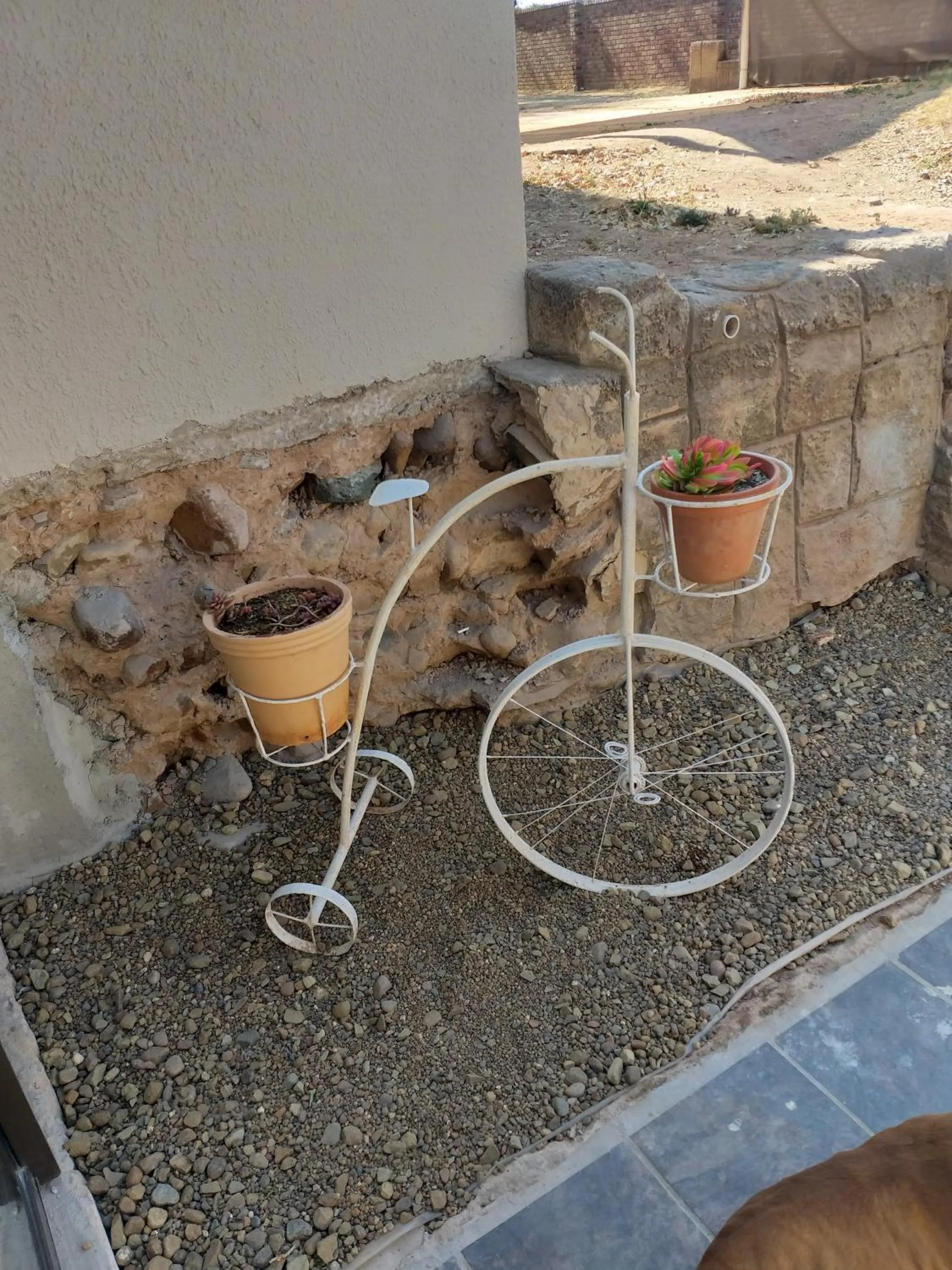 ASAMé @ Oppi-Rivier