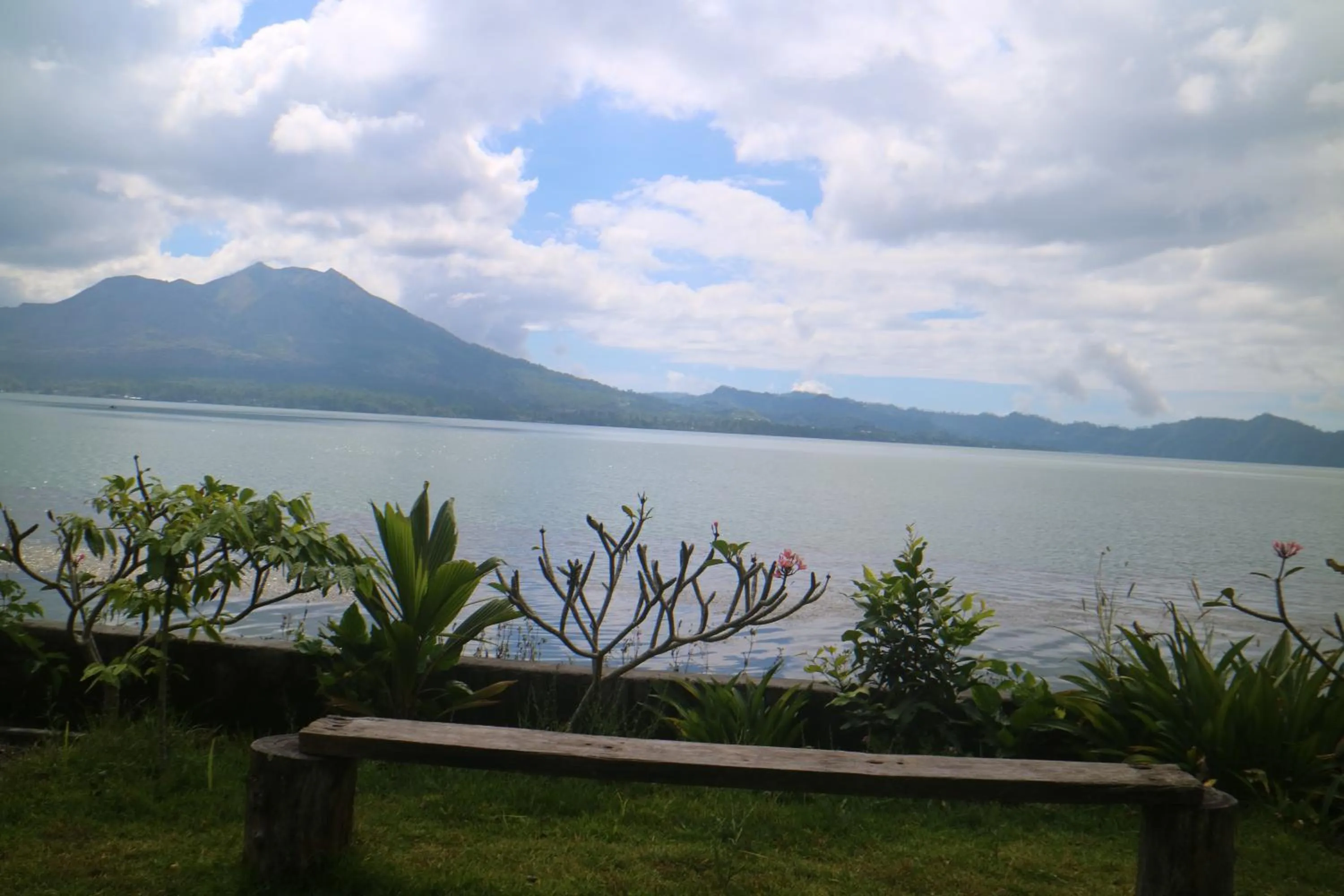 Garden view in Batur Green Lakeview in Kintamani Bali