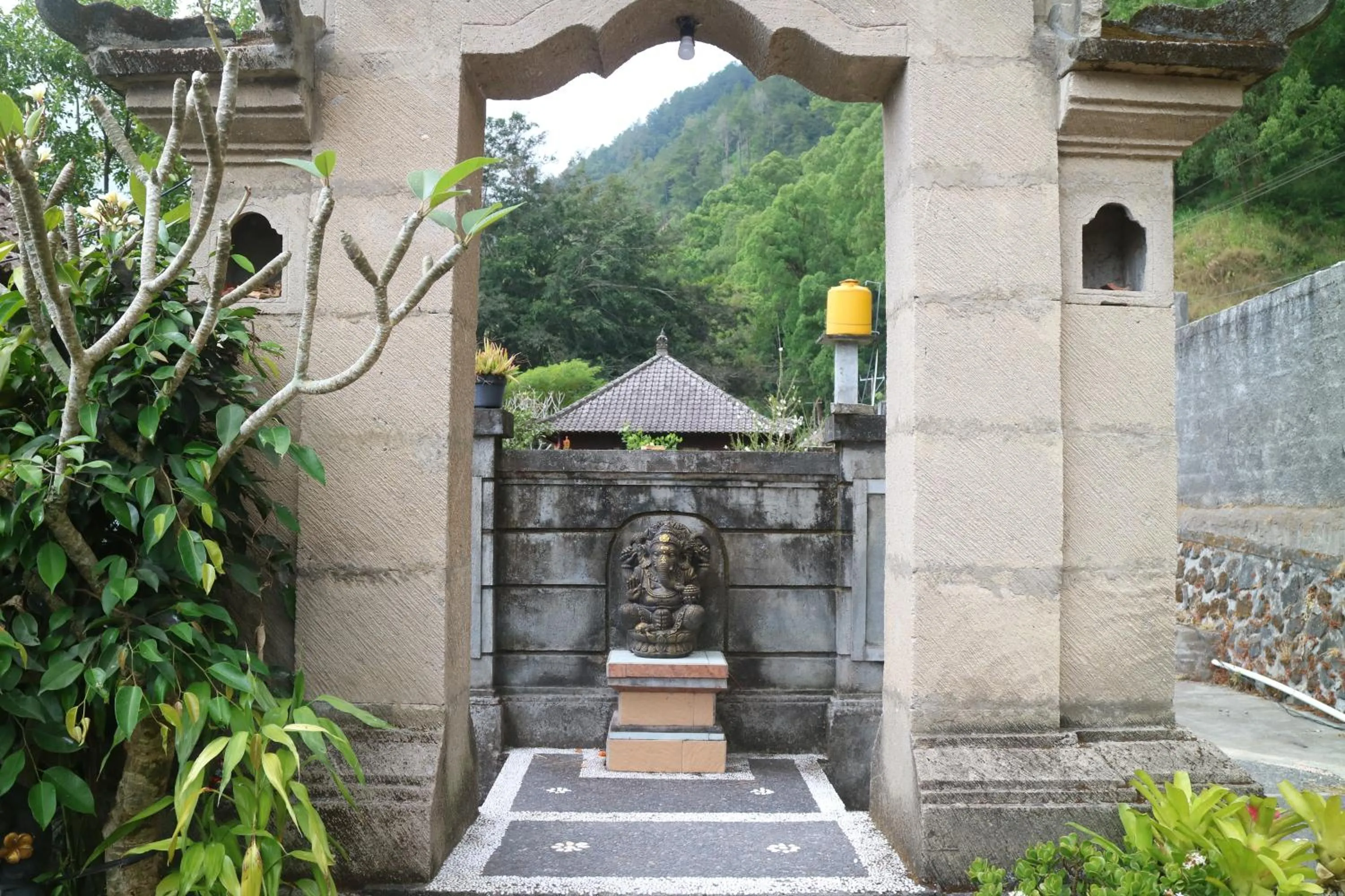 Lake view in Batur Green Lakeview in Kintamani Bali