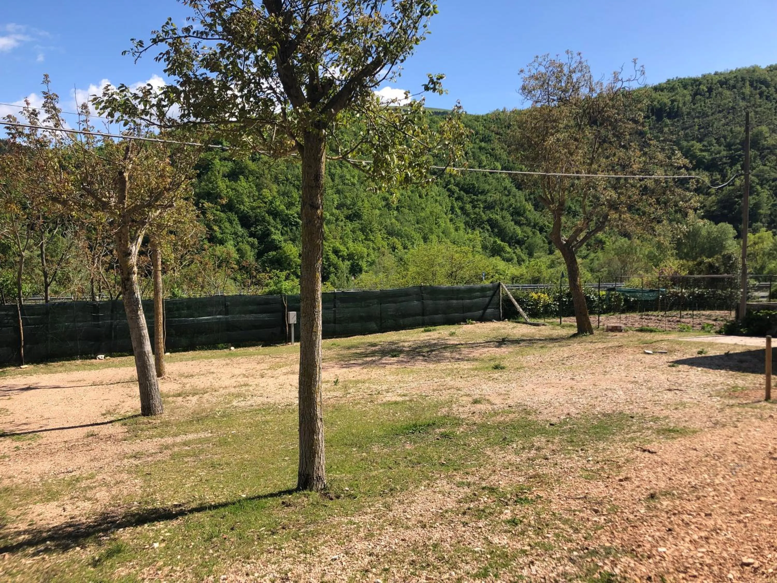 Garden in B&B Ollyfarm