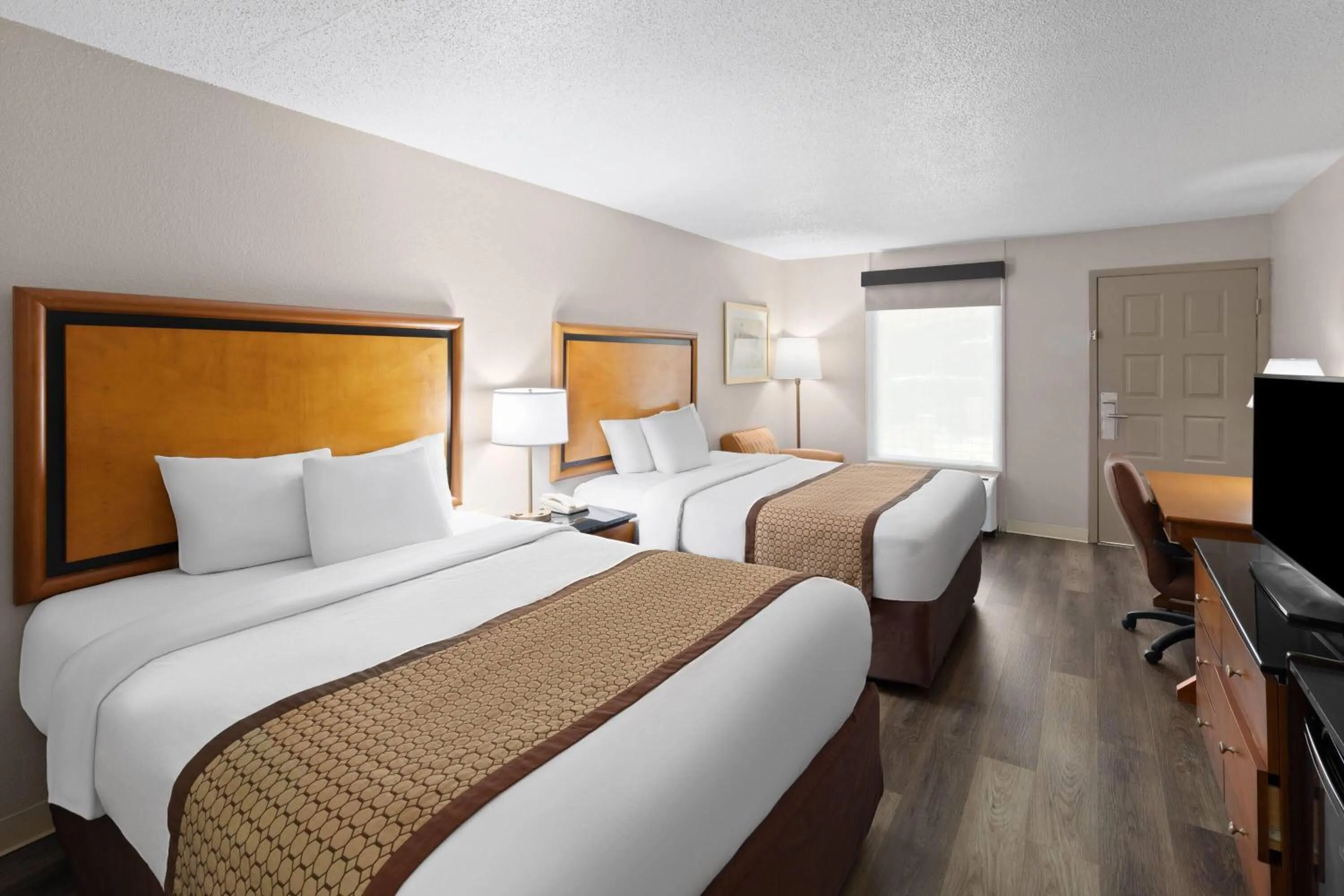 Photo of the whole room, Bed in Baymont by Wyndham Knoxville I-75