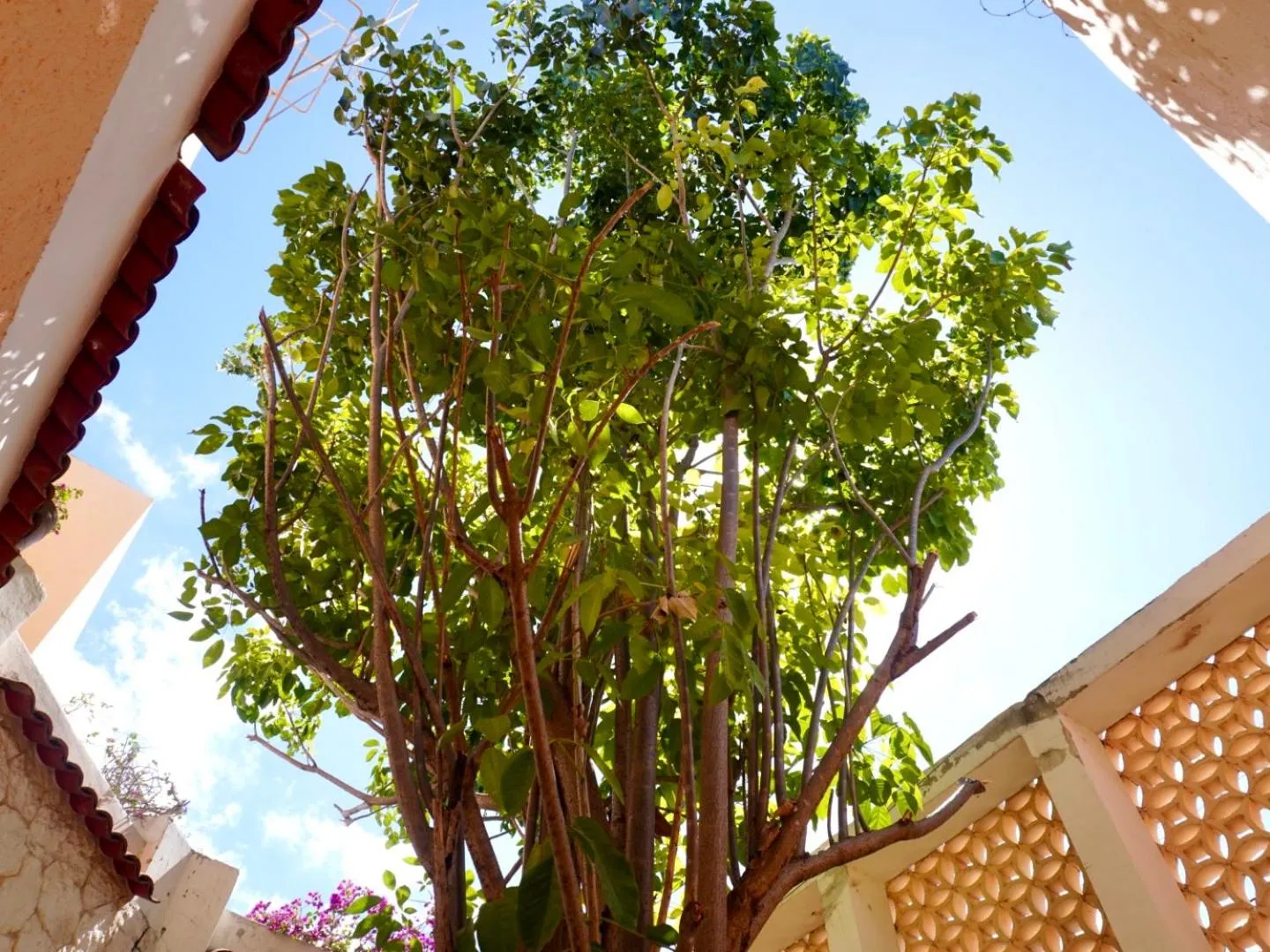 Property building in Casa Tavera- Adults Only