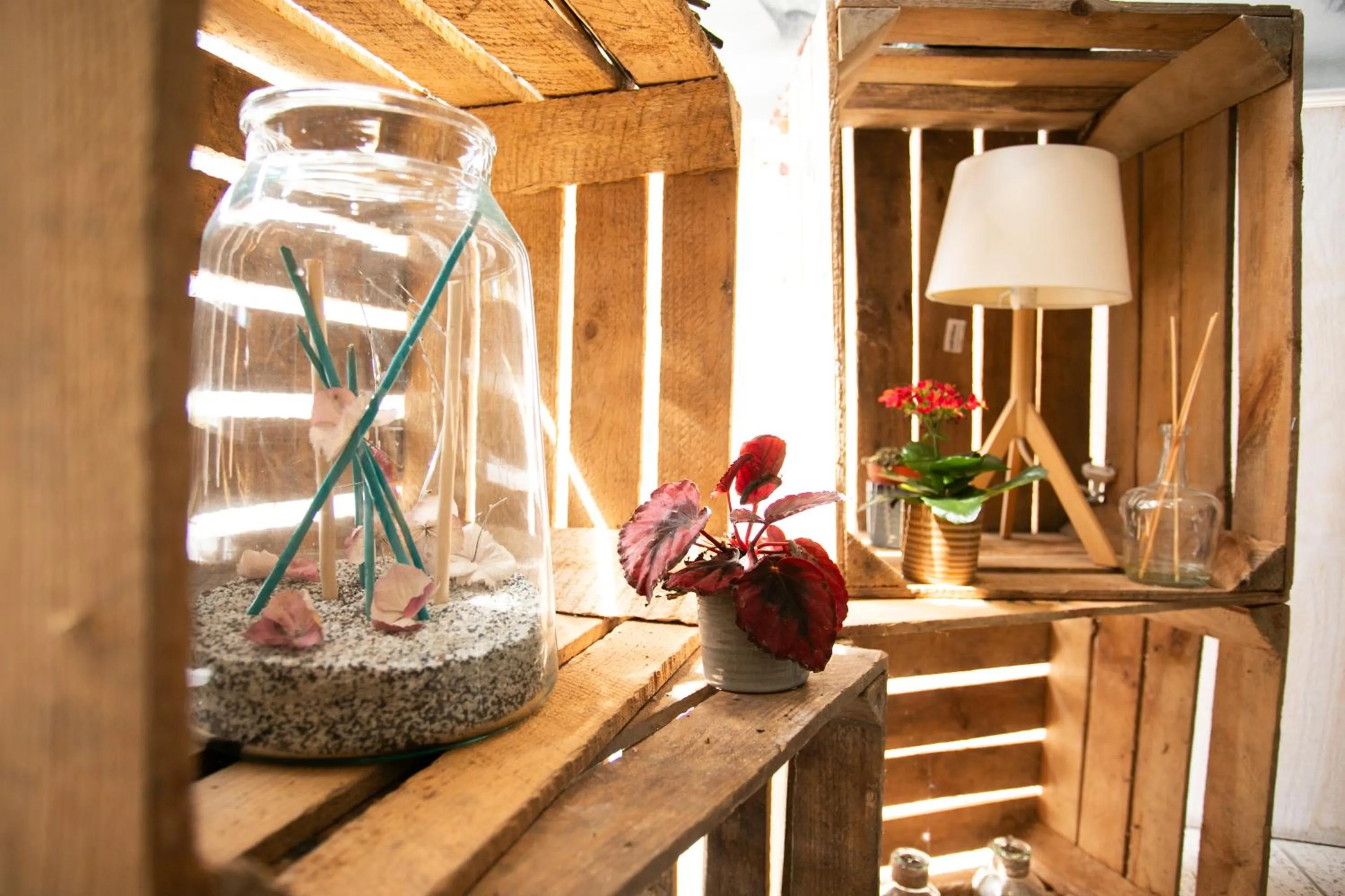 Lobby or reception in Logis Hotel Restaurant Au Chêne Vert, Saint-Brieuc