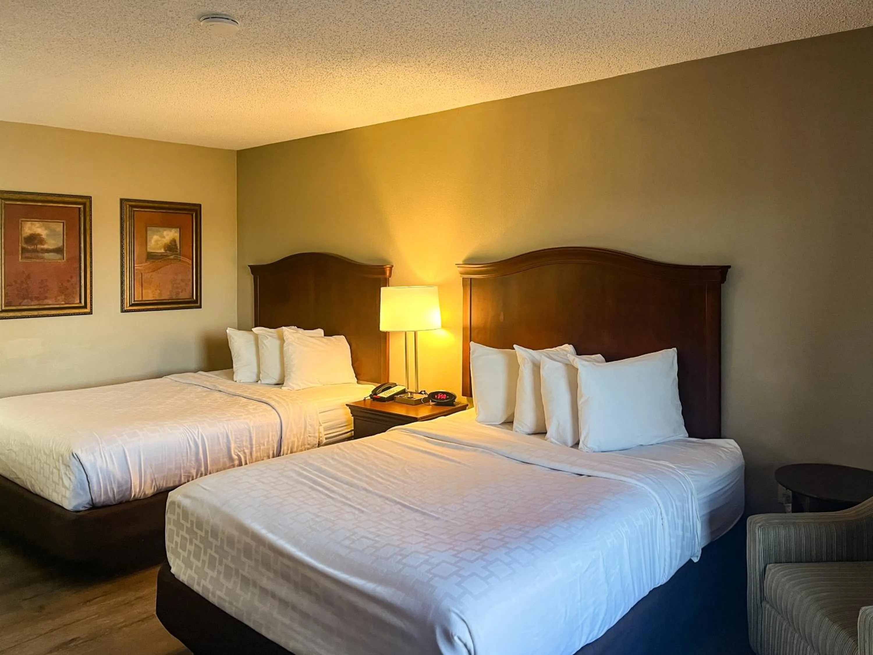 Photo of the whole room, Bed in Motel 6 Stafford, VA Quantico