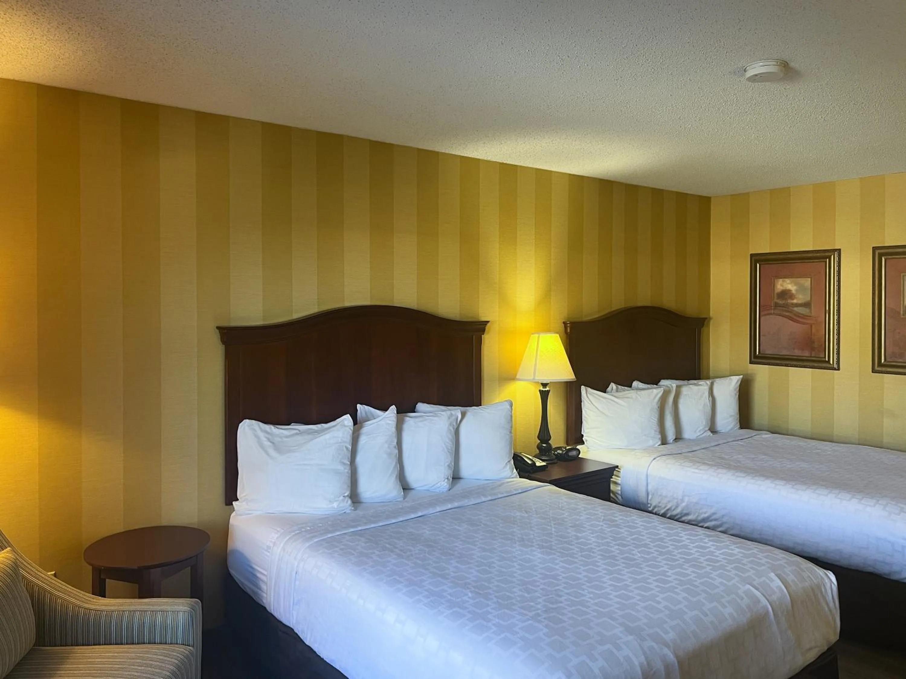 Photo of the whole room, Bed in Motel 6 Stafford, VA Quantico