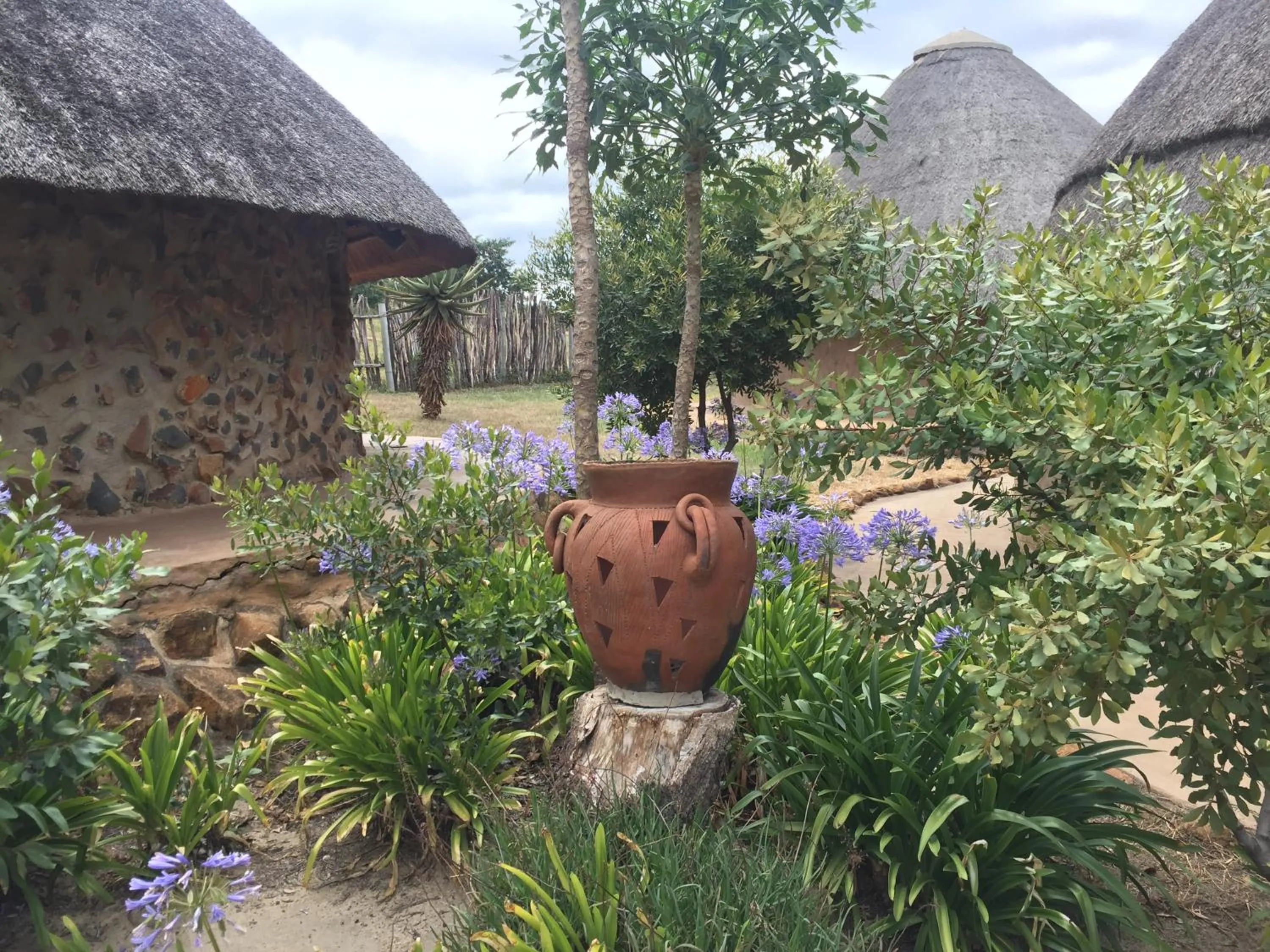 Garden in Kwakunje Guest Lodge