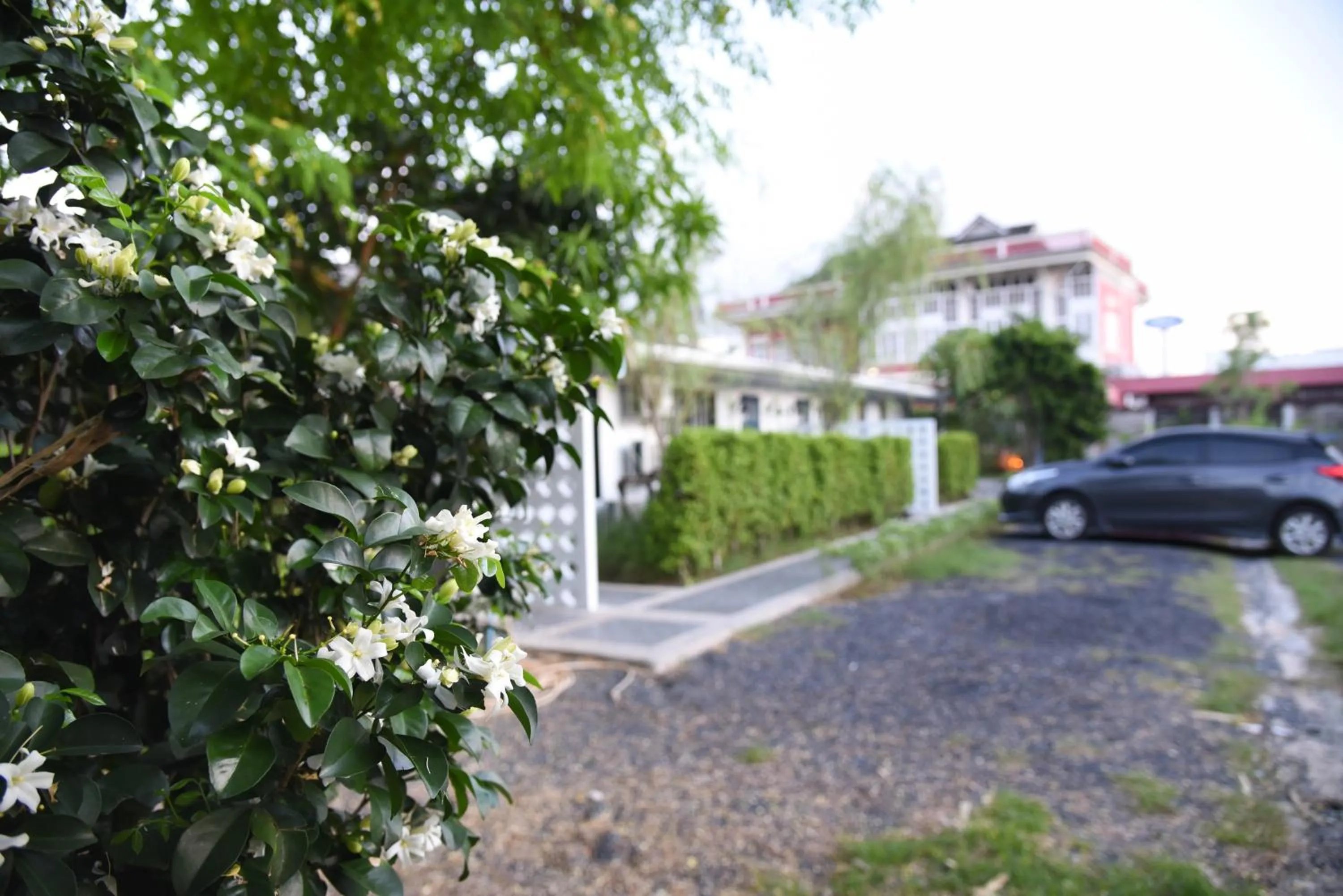 Facade/entrance in Snoozy Guesthouse