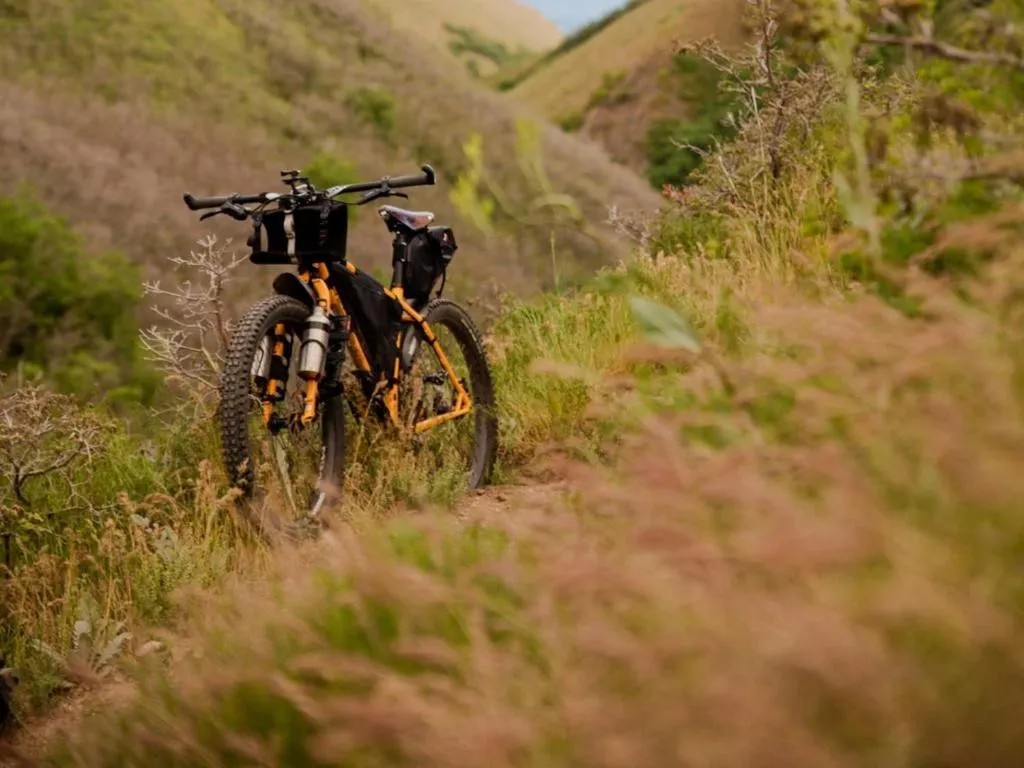 Cycling in SOWELL HOTELS Domaine de la Petite Isle