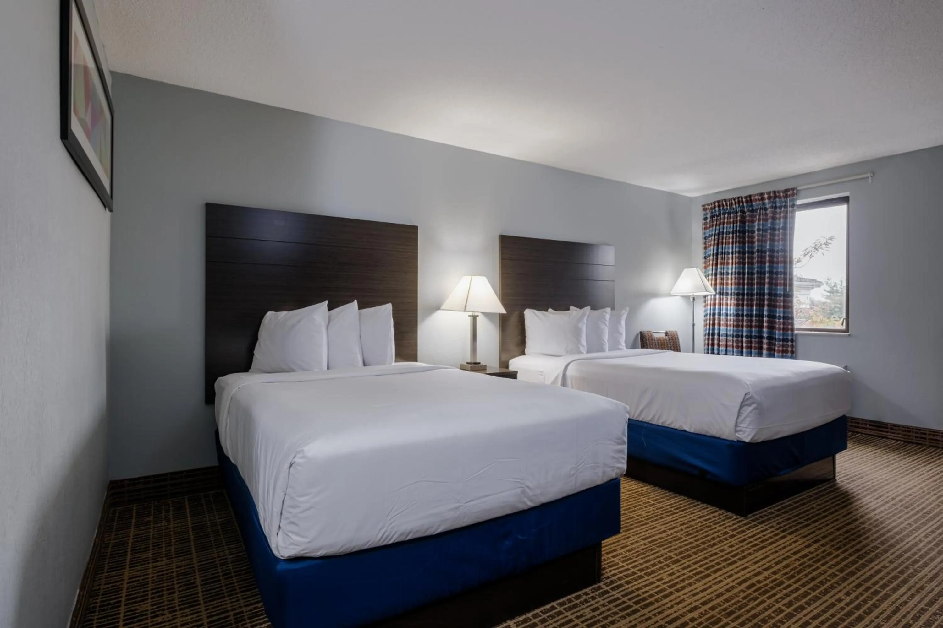 Photo of the whole room, Bed in Baymont by Wyndham Louisville Airport South