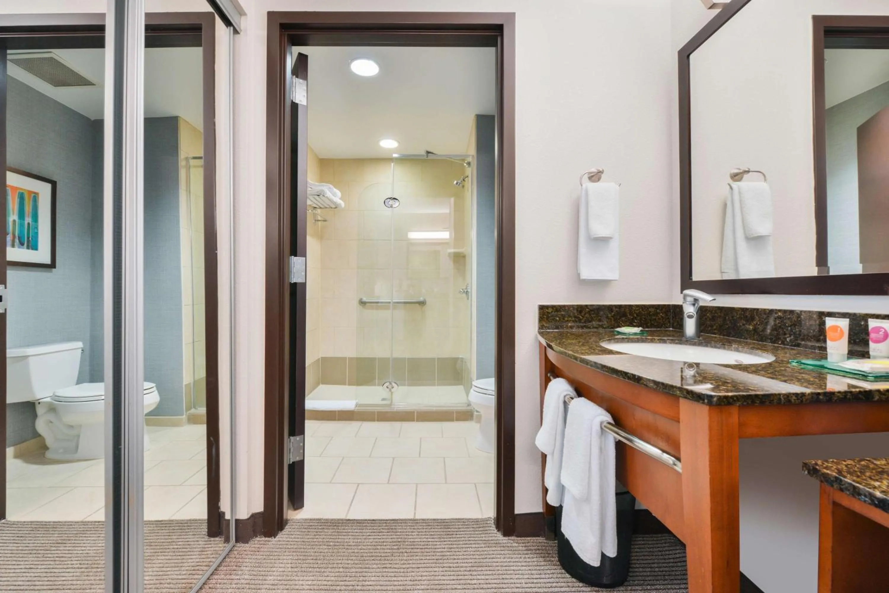 Bathroom in Hyatt Place Chesapeake