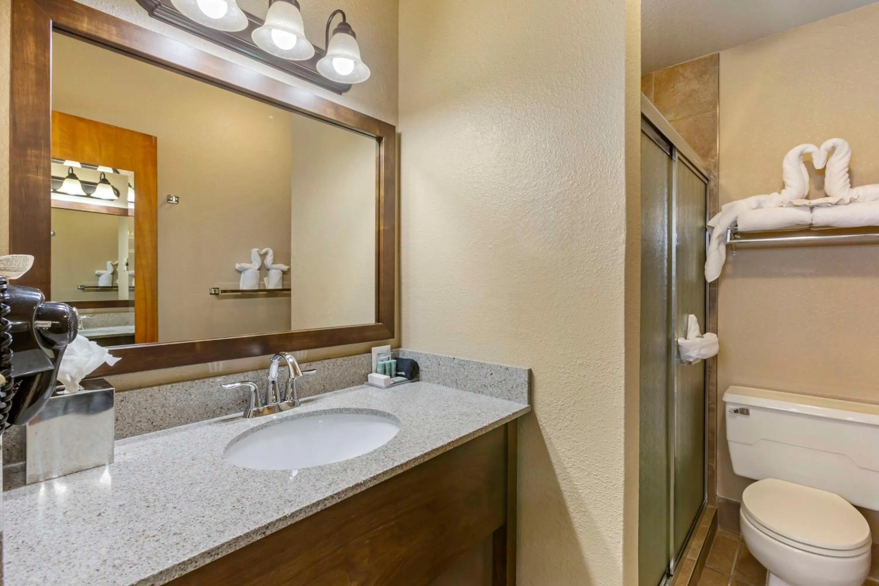 Bathroom in Best Western Sunset Inn