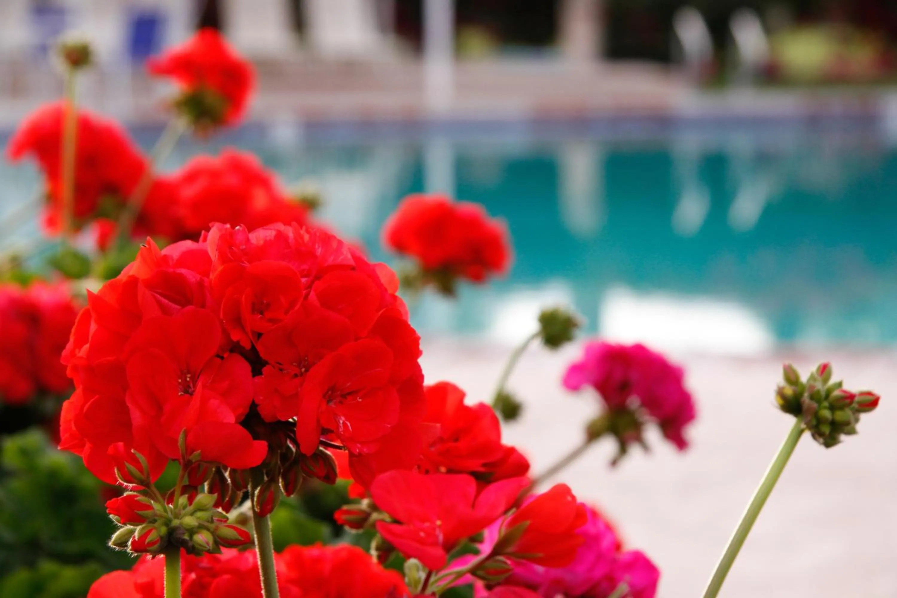 Property building in Shadow Mountain Resort