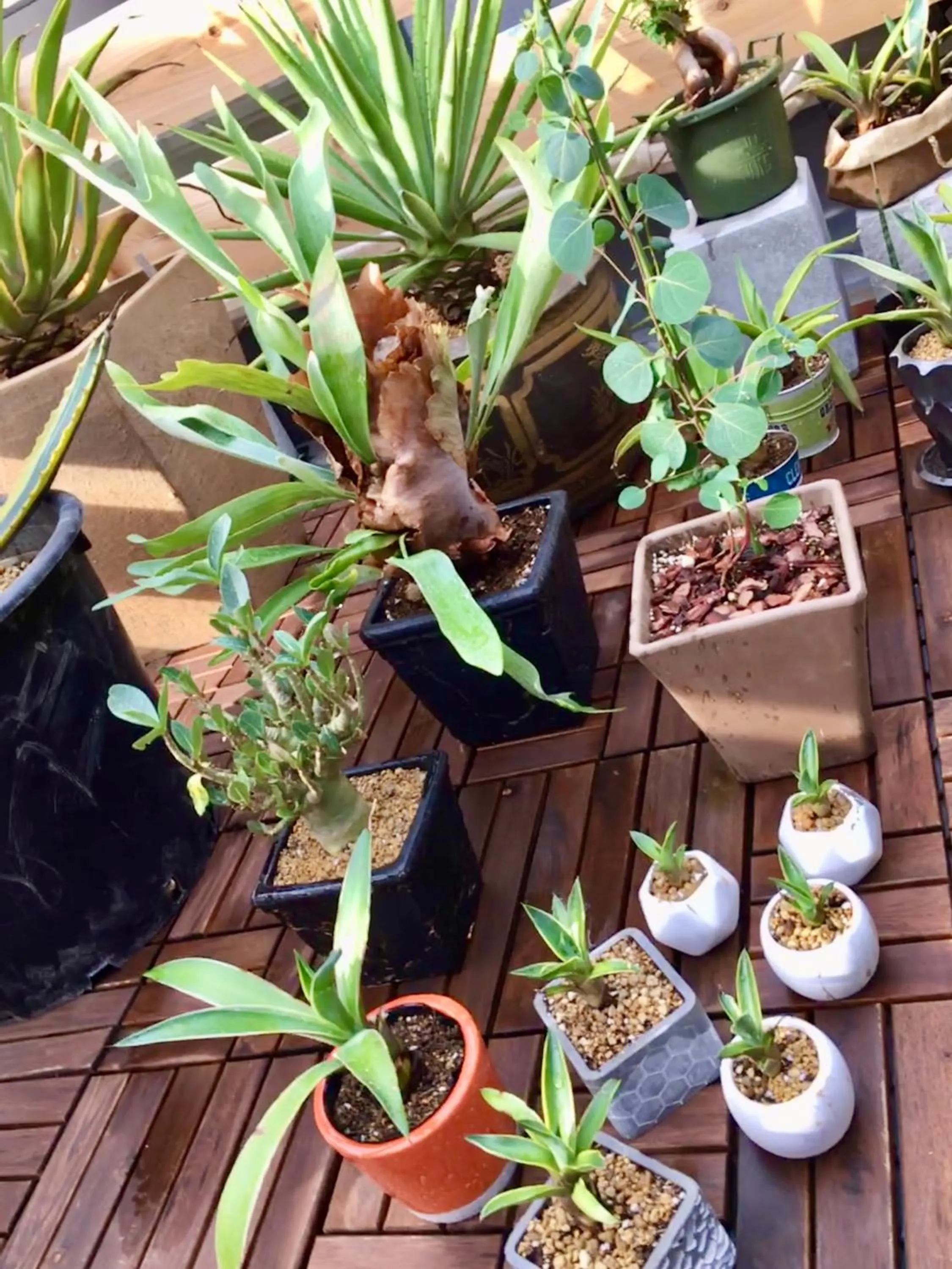 Balcony/Terrace in DJANGO Hostel & Lounge