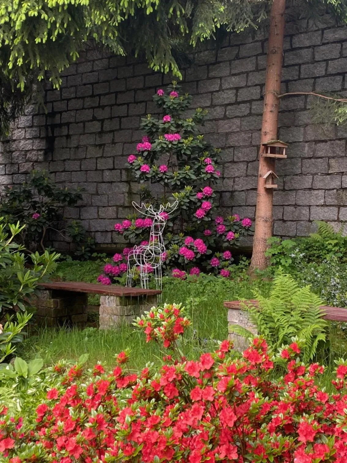 Garden in Willa MARANT