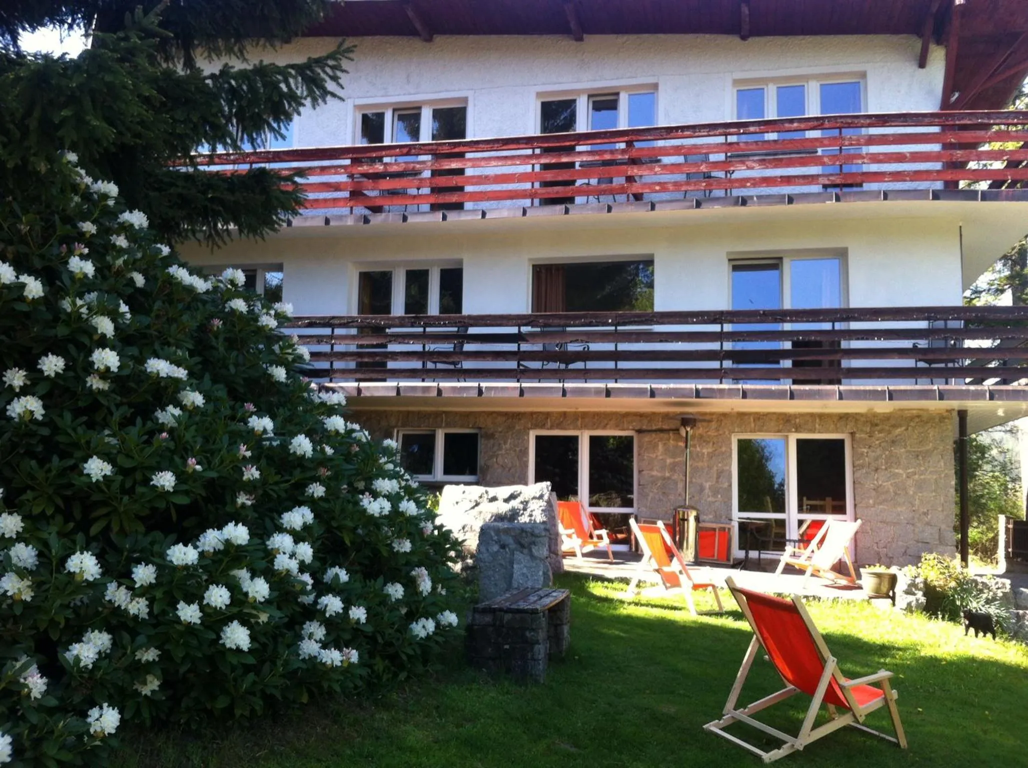 Property building in Willa MARANT