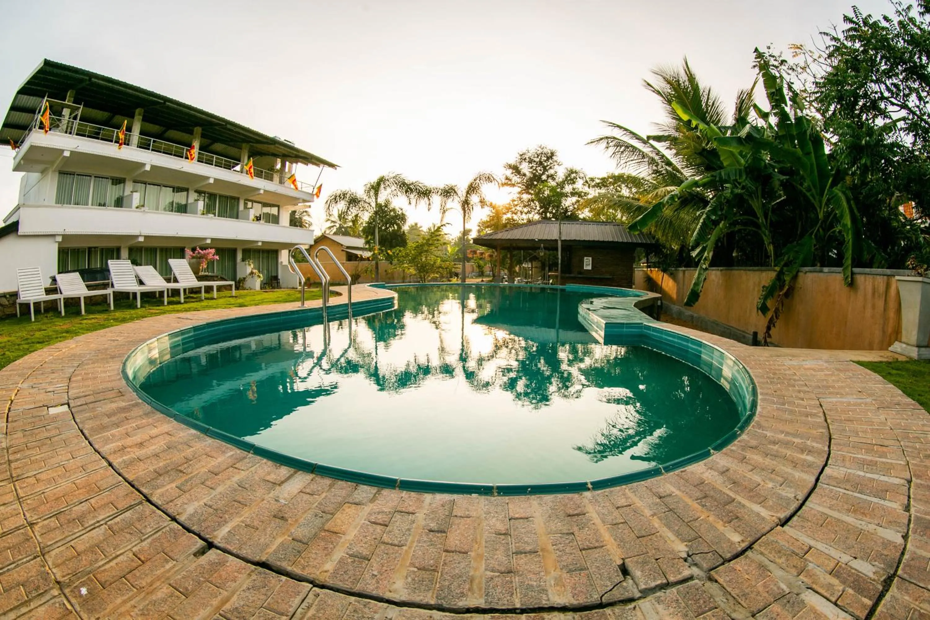 Swimming pool in Royal Rock Sigiriya