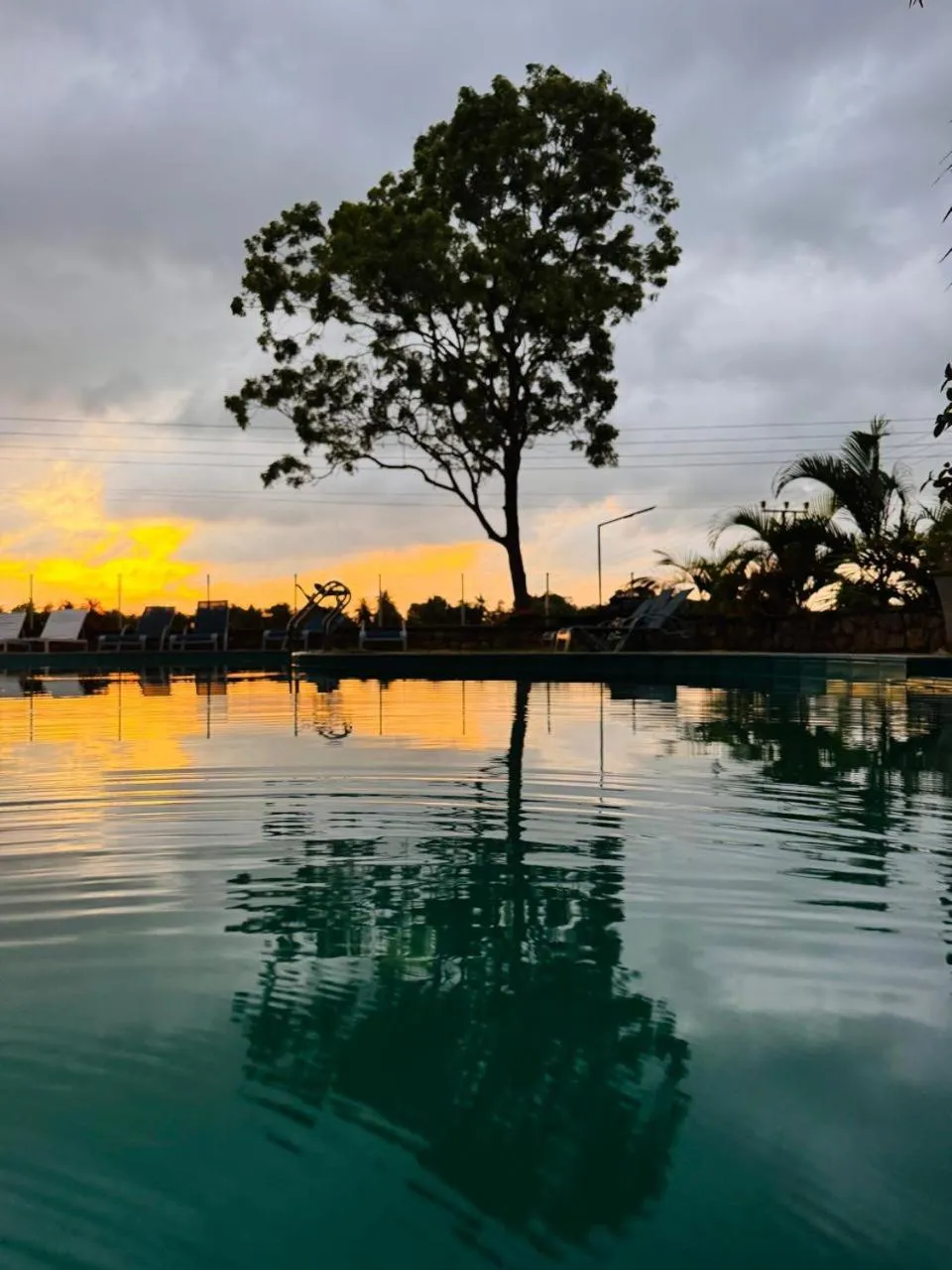 Swimming pool in Royal Rock Sigiriya