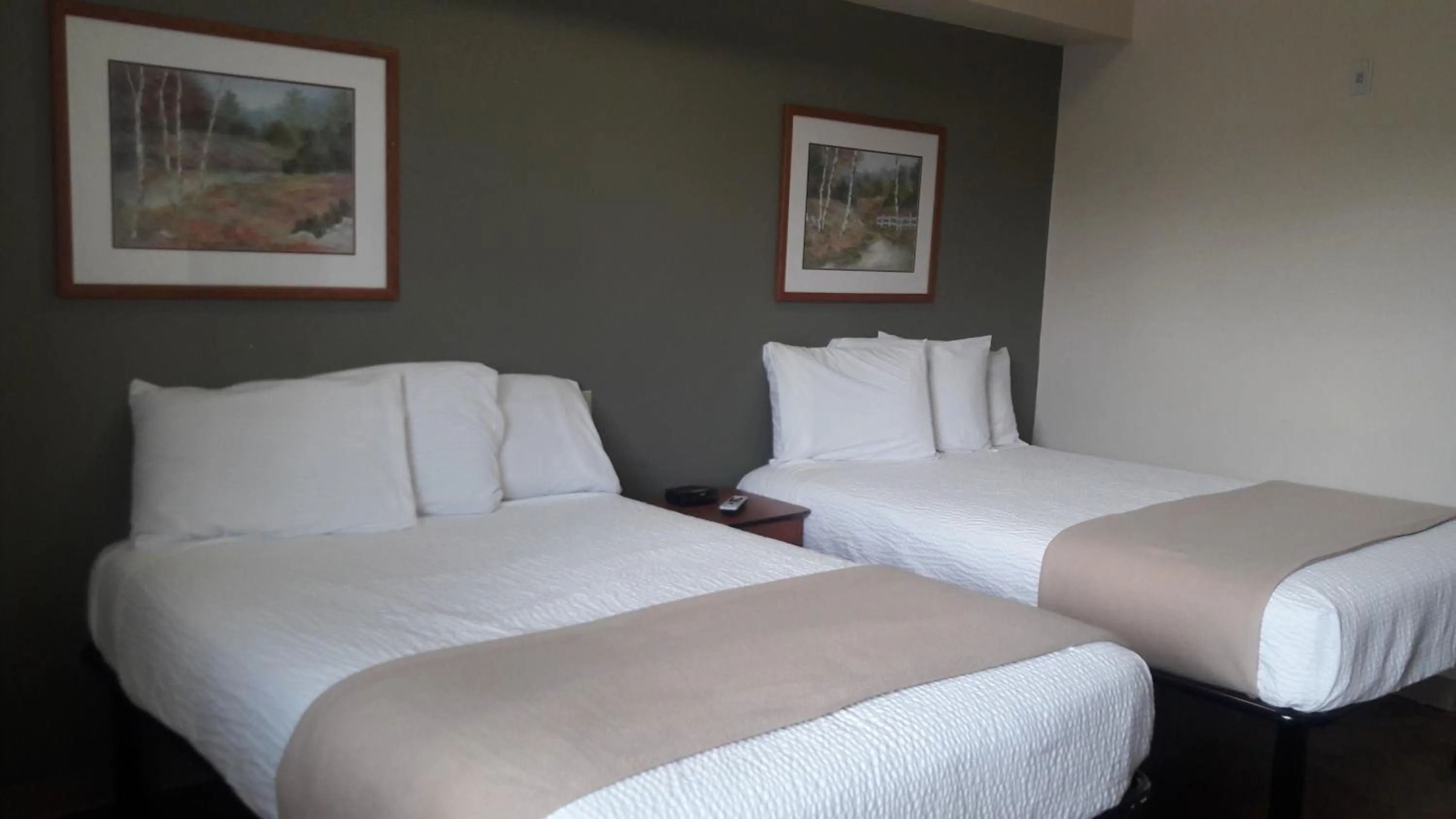 Bed in Best Studio Inn Homestead (Extended Stay)