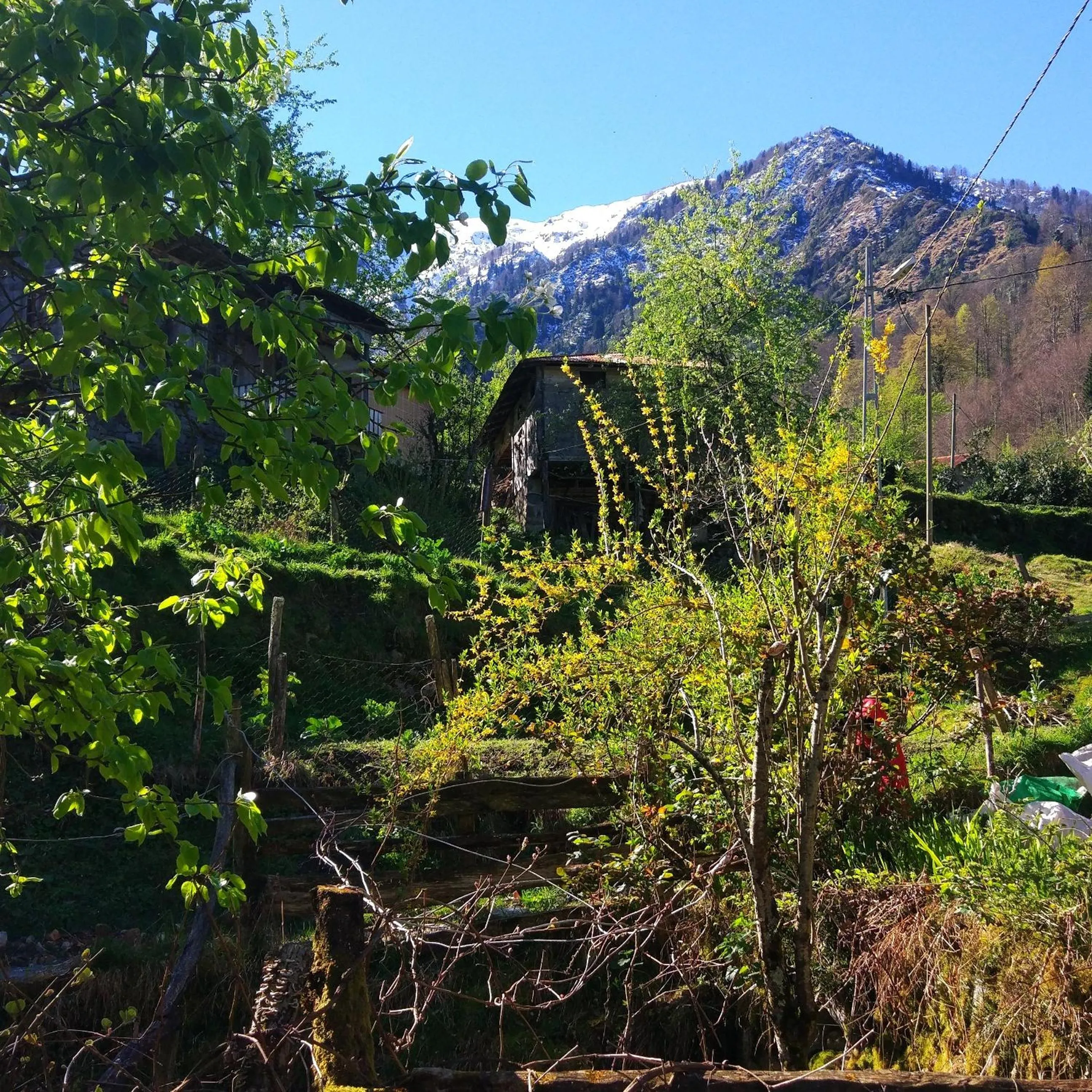 Natural landscape in Begi Apart Bungalows Hotel - Çamlıhemşin