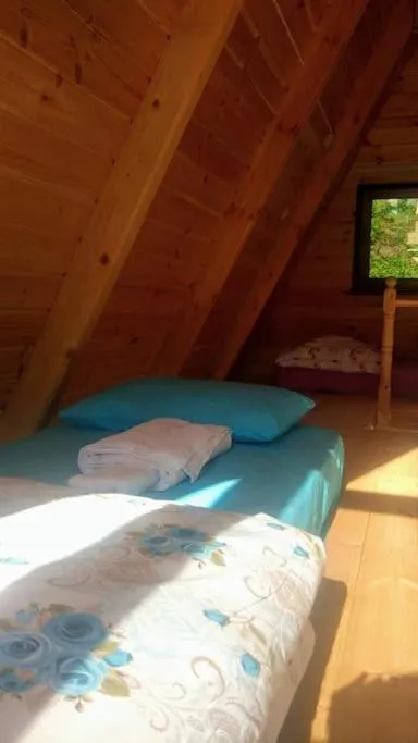 Begi Apart Bungalows Hotel - Çamlıhemşin