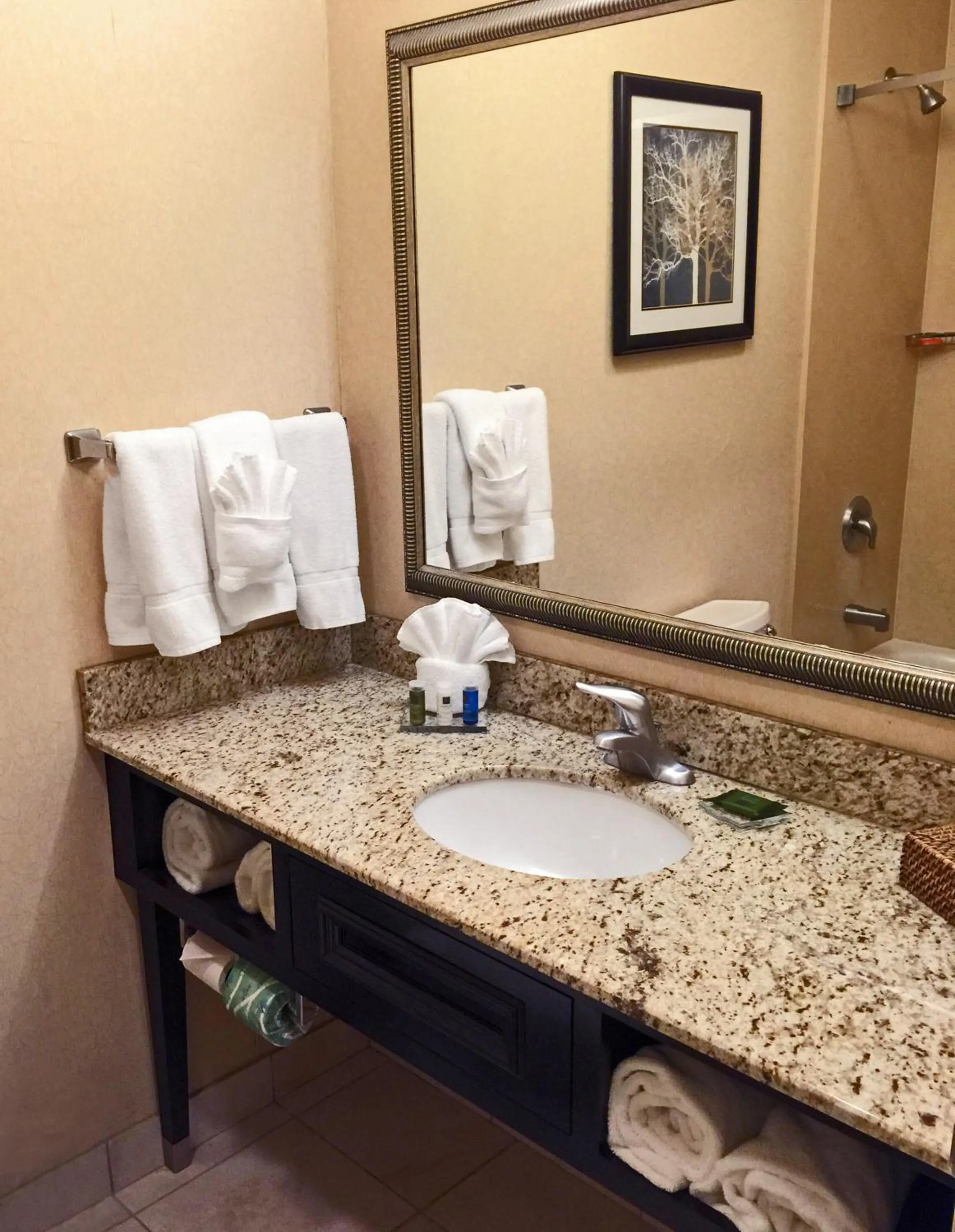 Bathroom in Radisson Hotel Freehold