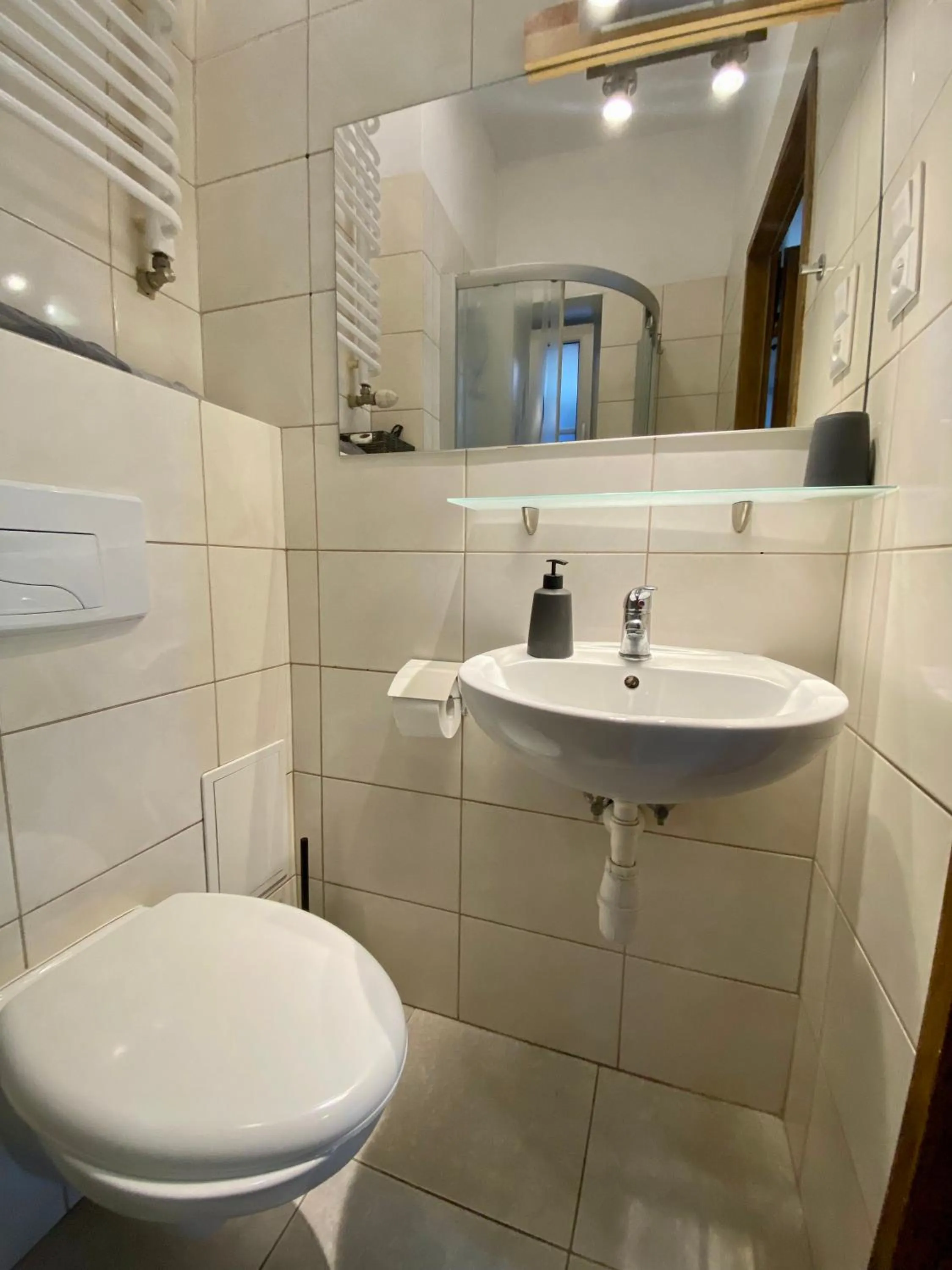 Shower in Topolove Rooms & Apartments