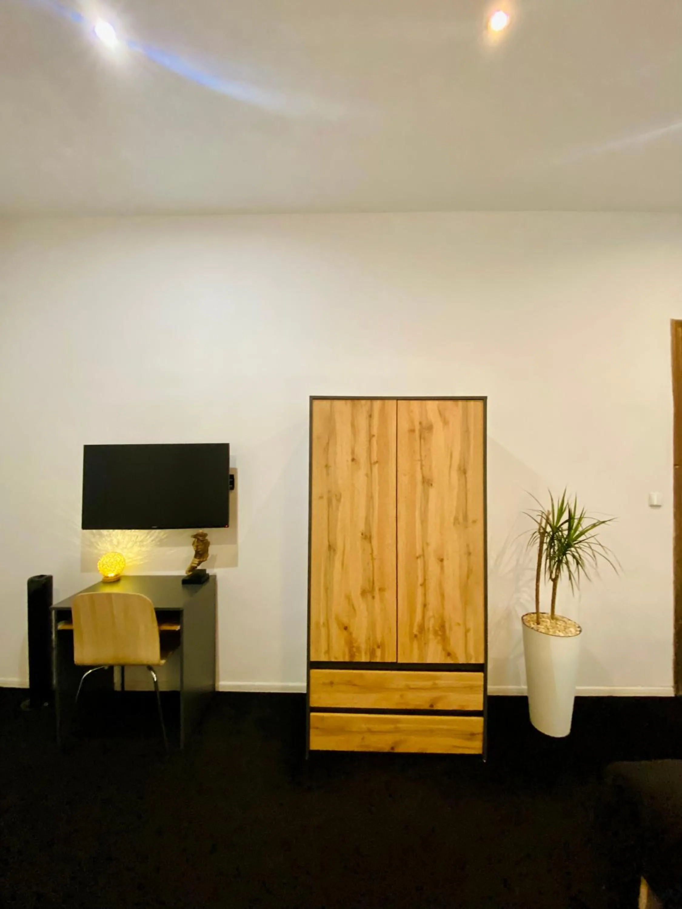 TV and multimedia in Topolove Rooms & Apartments