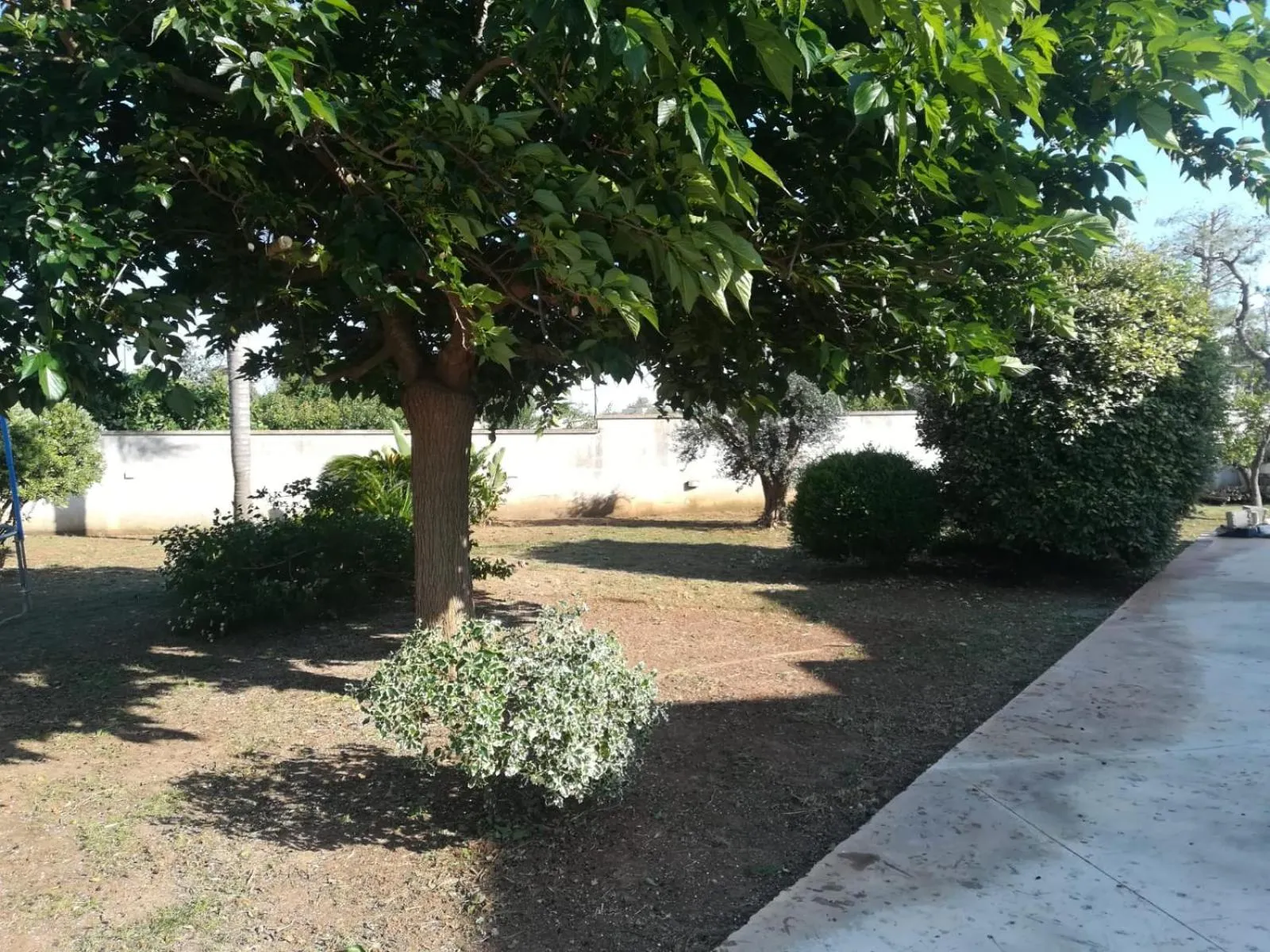 Garden in Il Giardino degli Ulivi