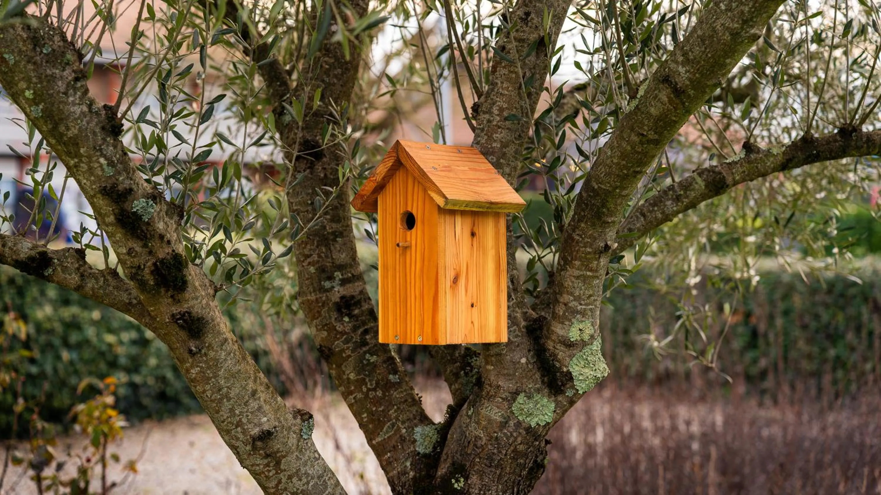 Spring in Campanile NATURE - Bordeaux Lac