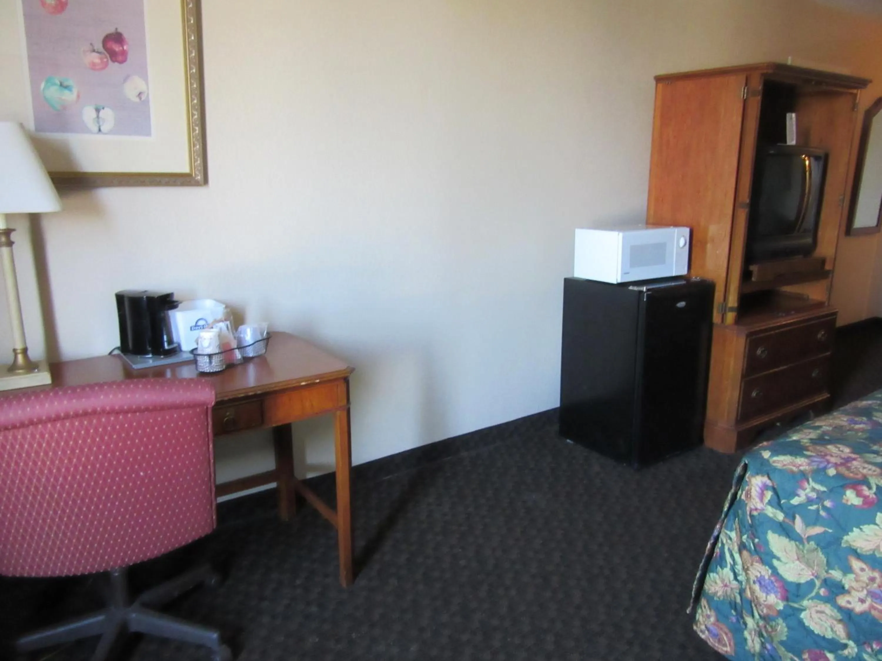 Decorative detail, TV/Entertainment Center in Days Inn & Suites by Wyndham SE Columbia Ft Jackson