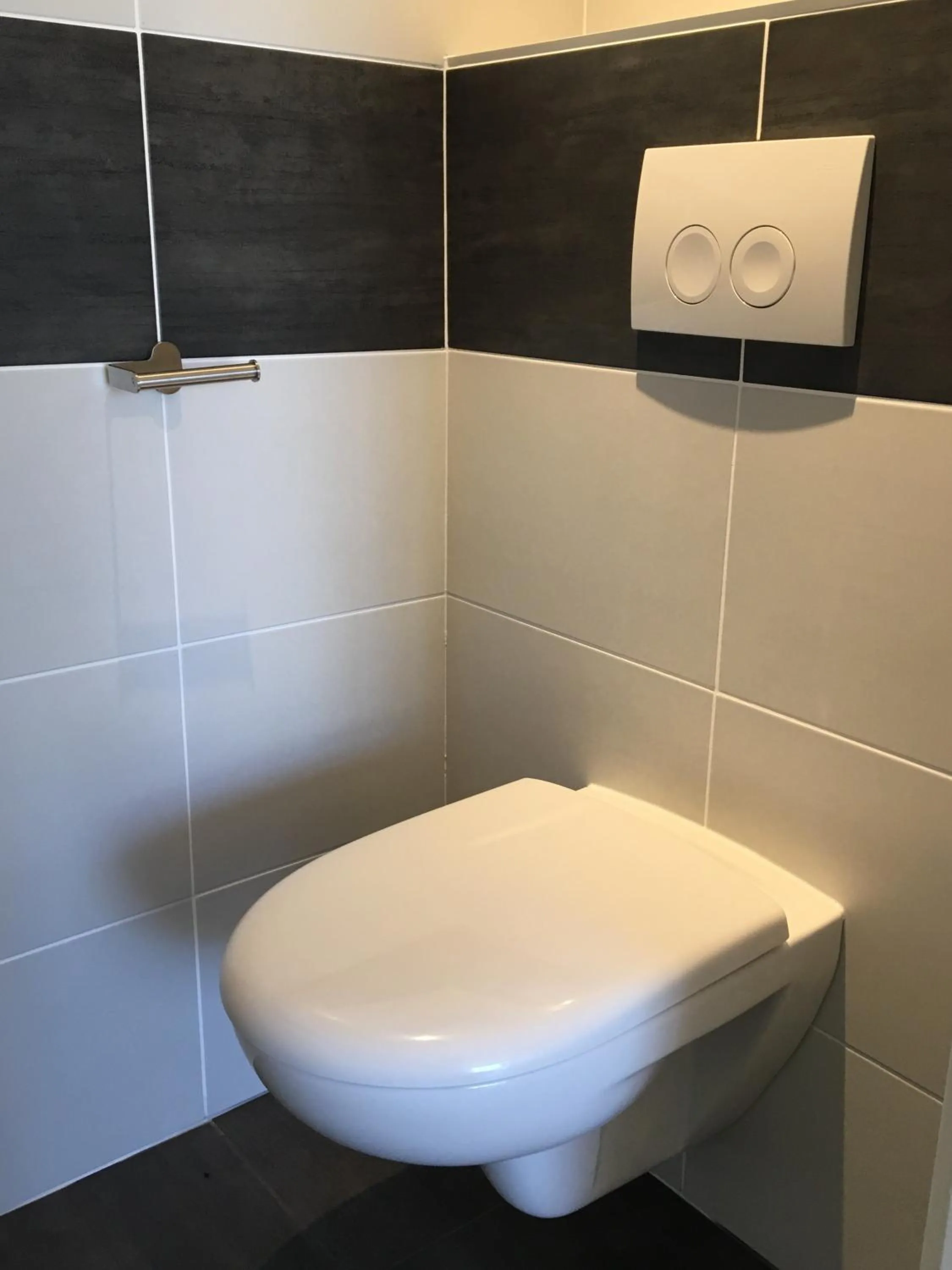 Toilet in FalHappy House