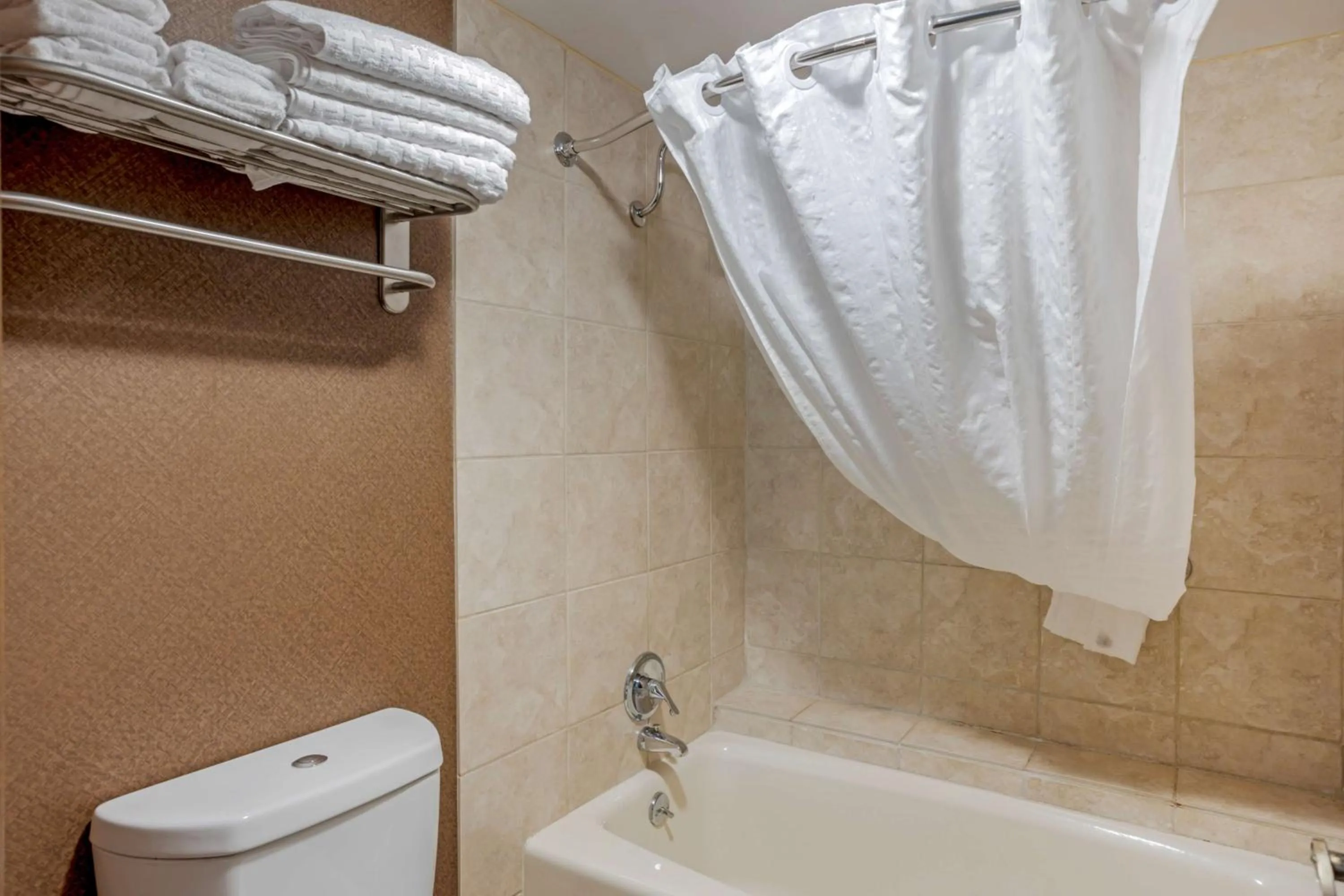 Bathroom in Best Western Inn of the Ozarks