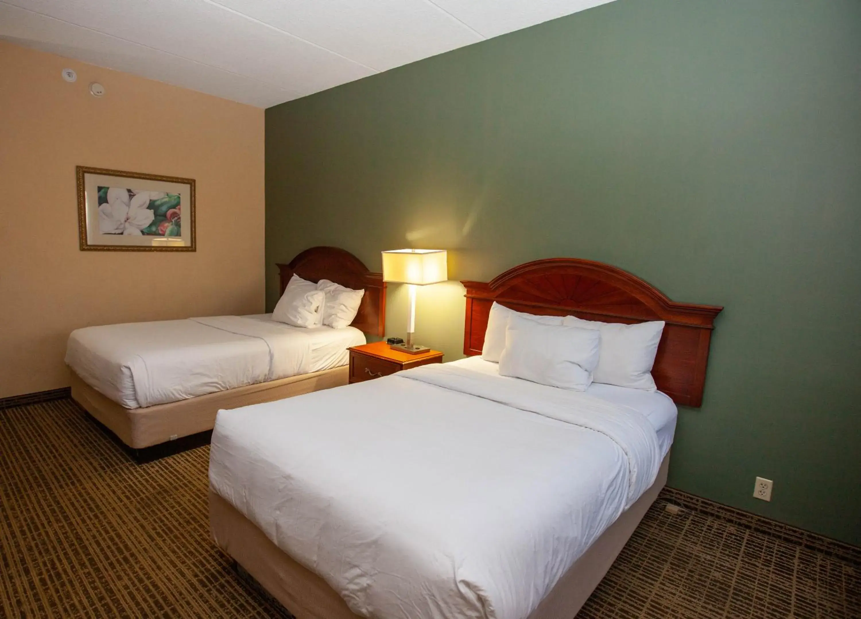 Double Room with Two Double Beds - Pet Friendly/Non-Smoking in Baymont by Wyndham Knoxville/Cedar Bluff Double Room with Two Double Beds - Pet Friendly/Non-Smoking in Baymont by Wyndham Knoxville/Cedar Bluff