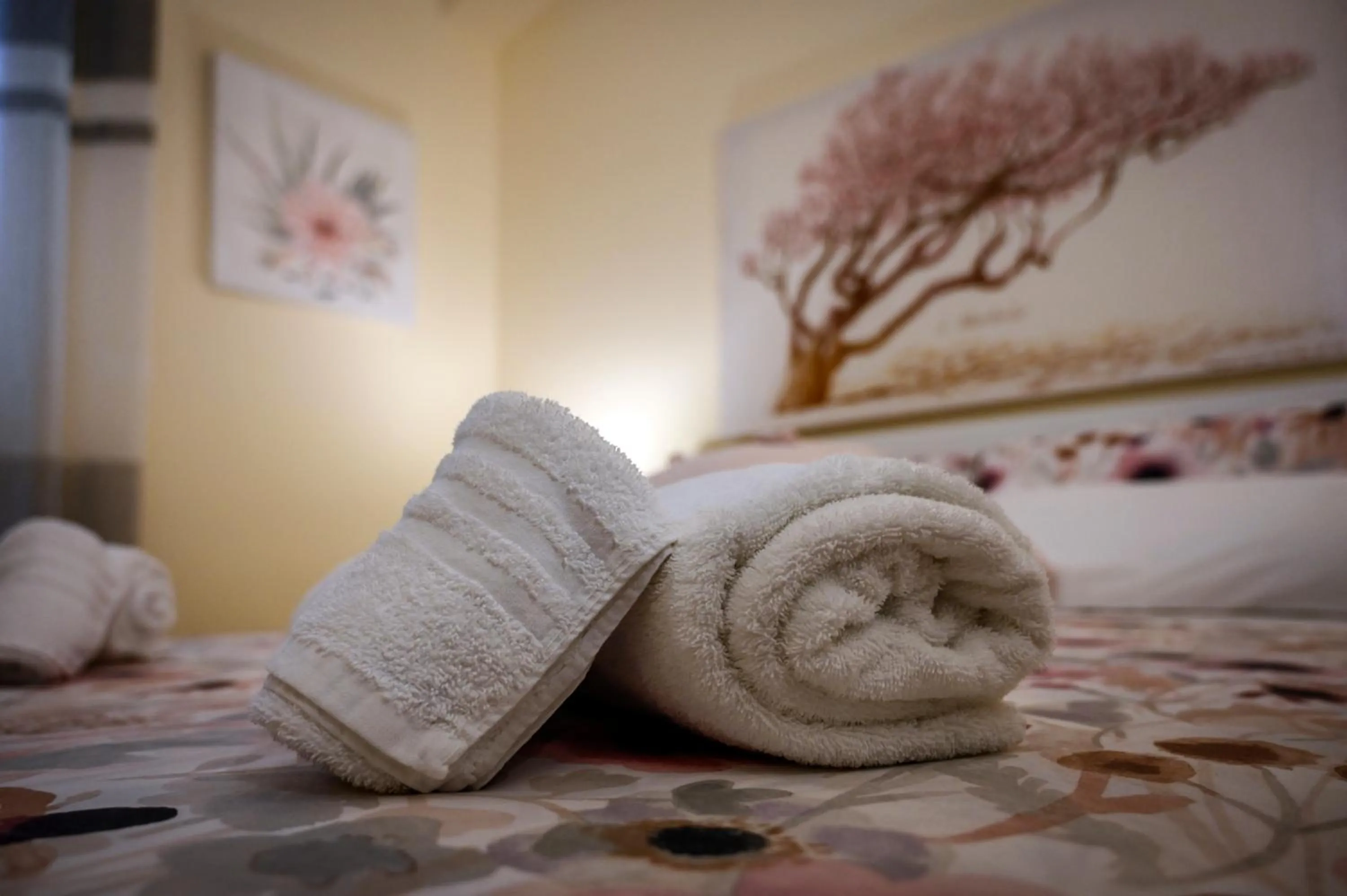 Bed in Balconcino sugli Ulivi