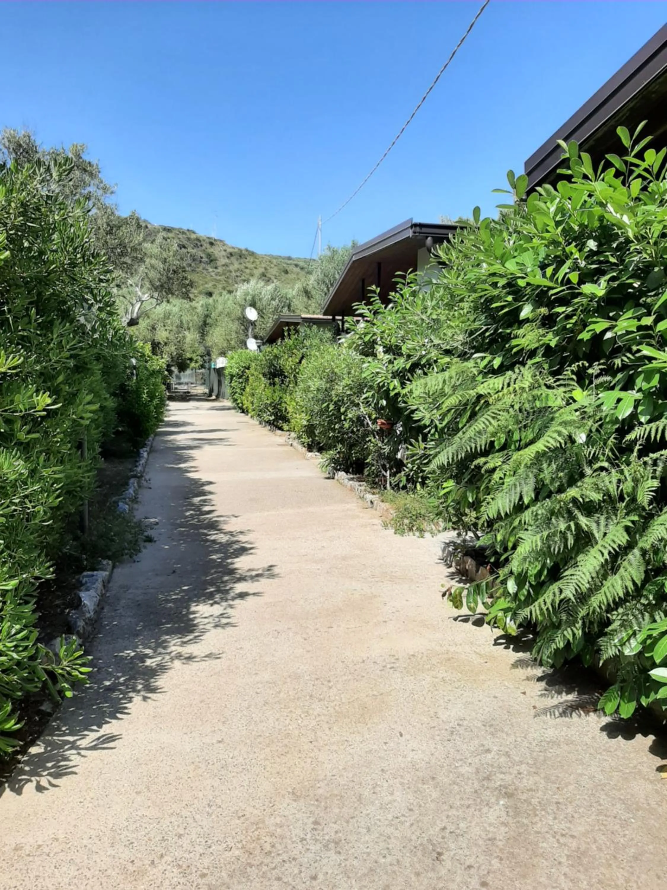 Day in Residence Eden