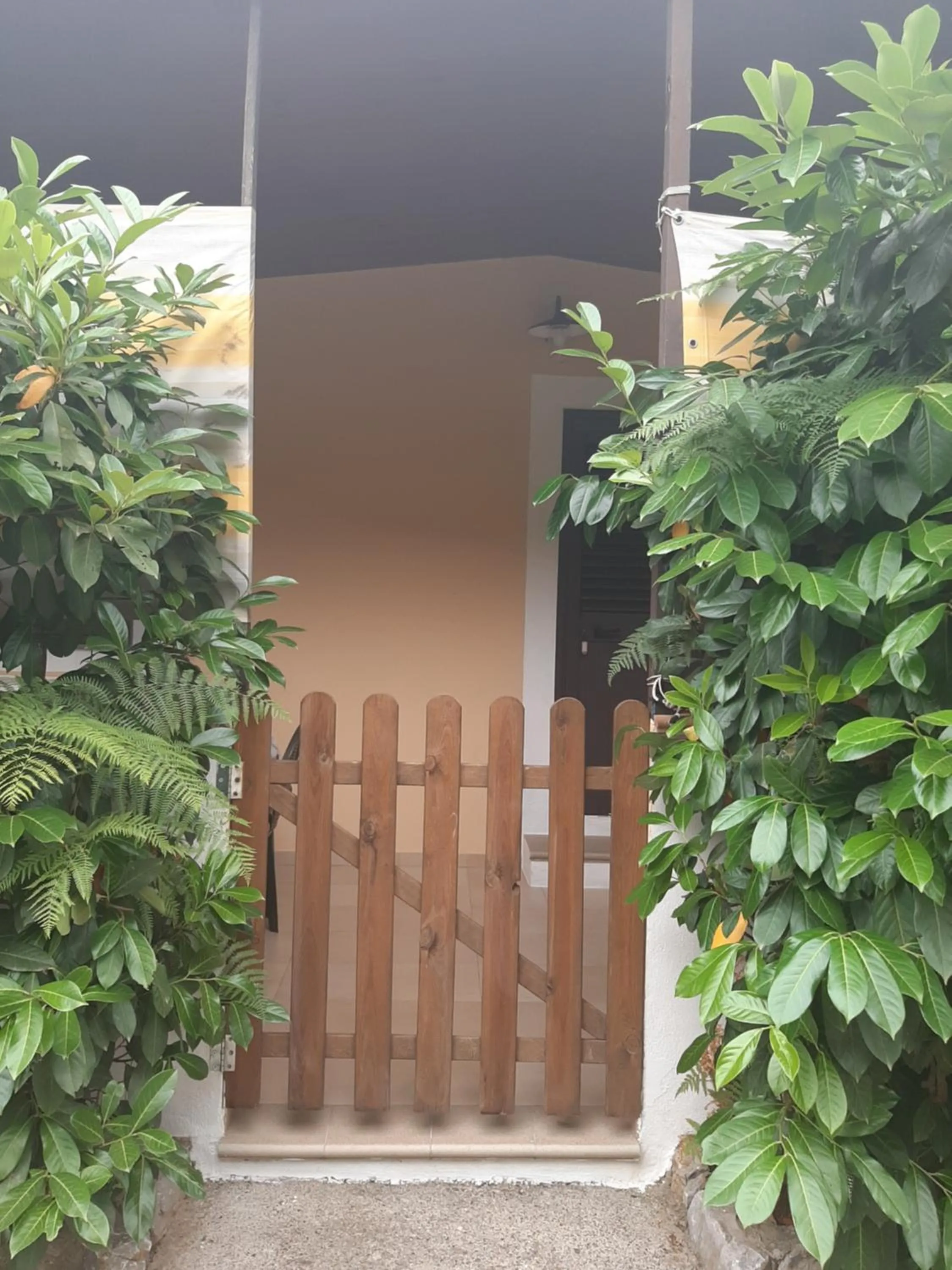 Garden view in Residence Eden