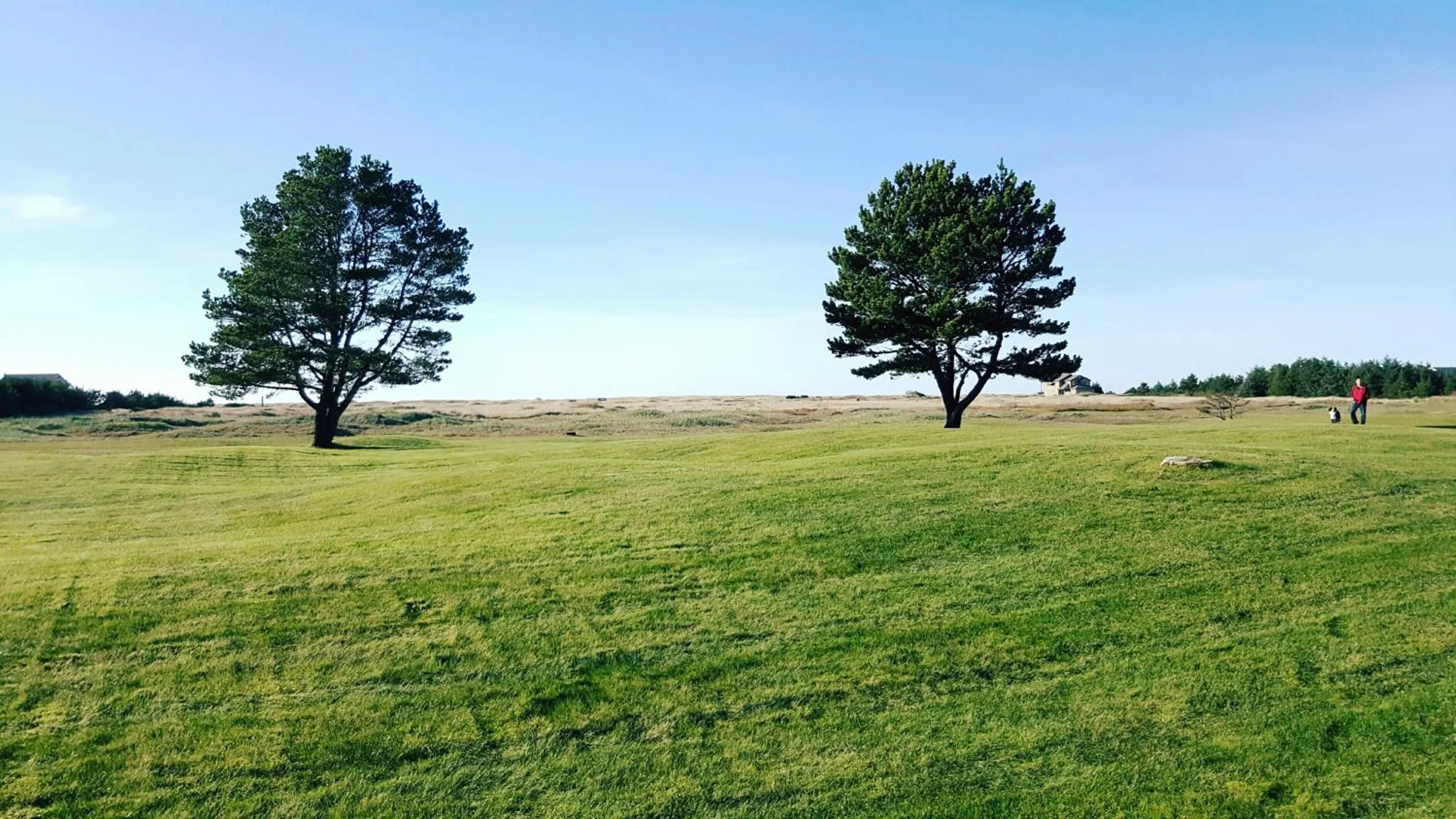 Natural landscape in The Breakers Long Beach