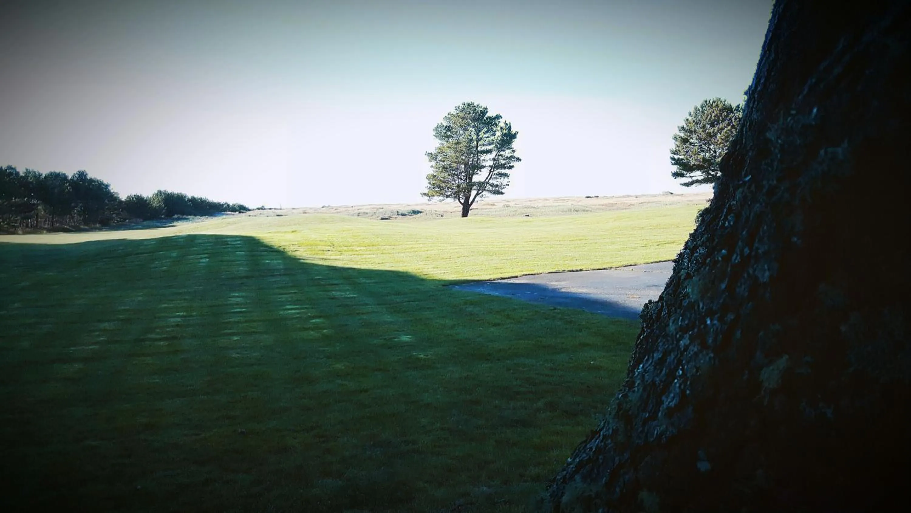 Natural landscape in The Breakers Long Beach